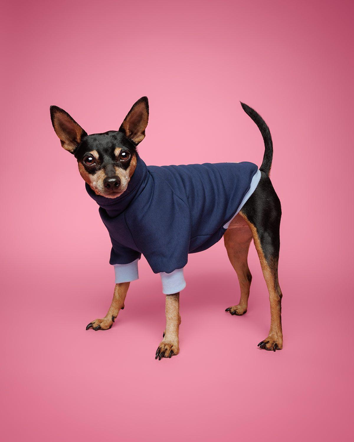 LE MAT Travel dog mat roll up blanket