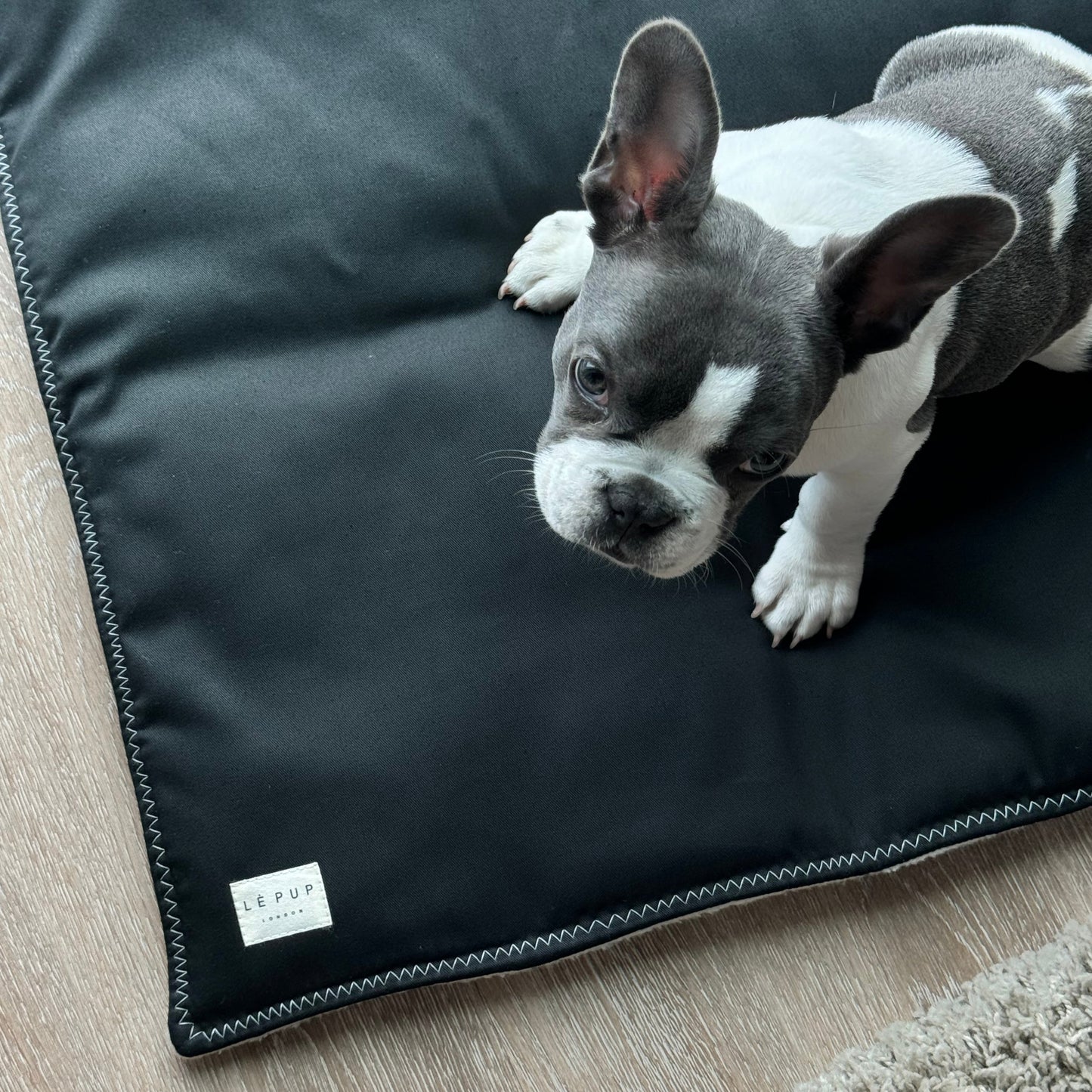 LÈ MAT - Dog Travel Mat (Black)