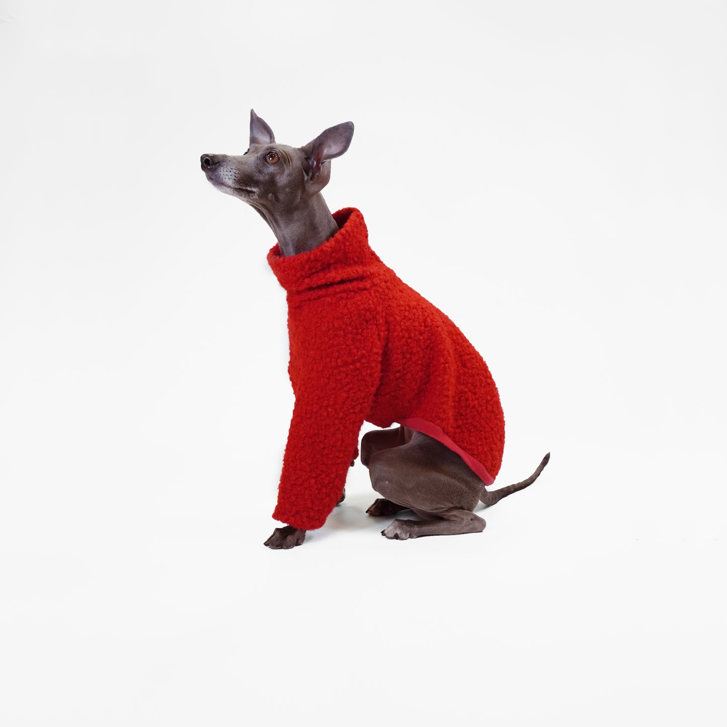 TANGHULU - Dog Jumper