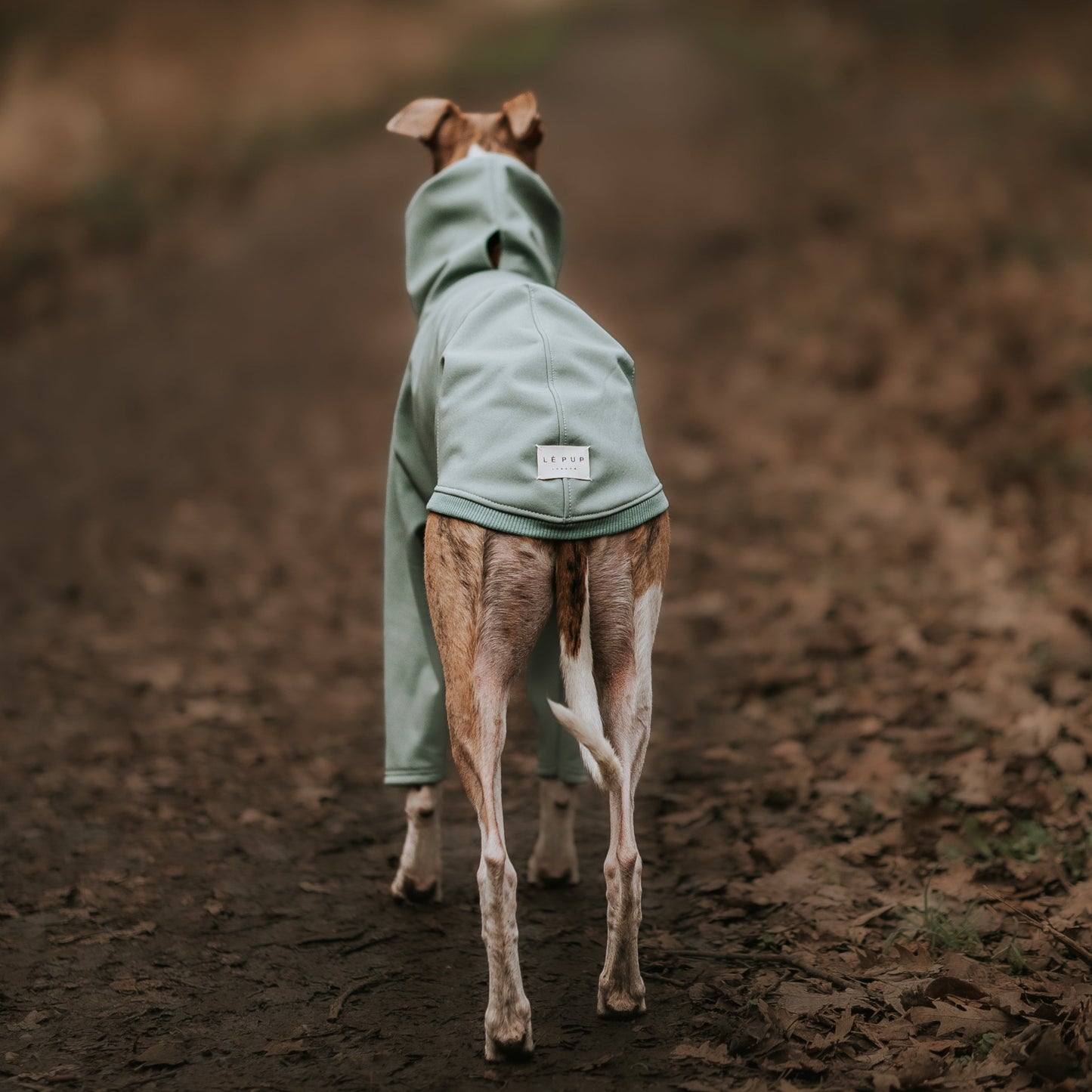 SAGE WATERPROOF COAT - Dog Raincoat