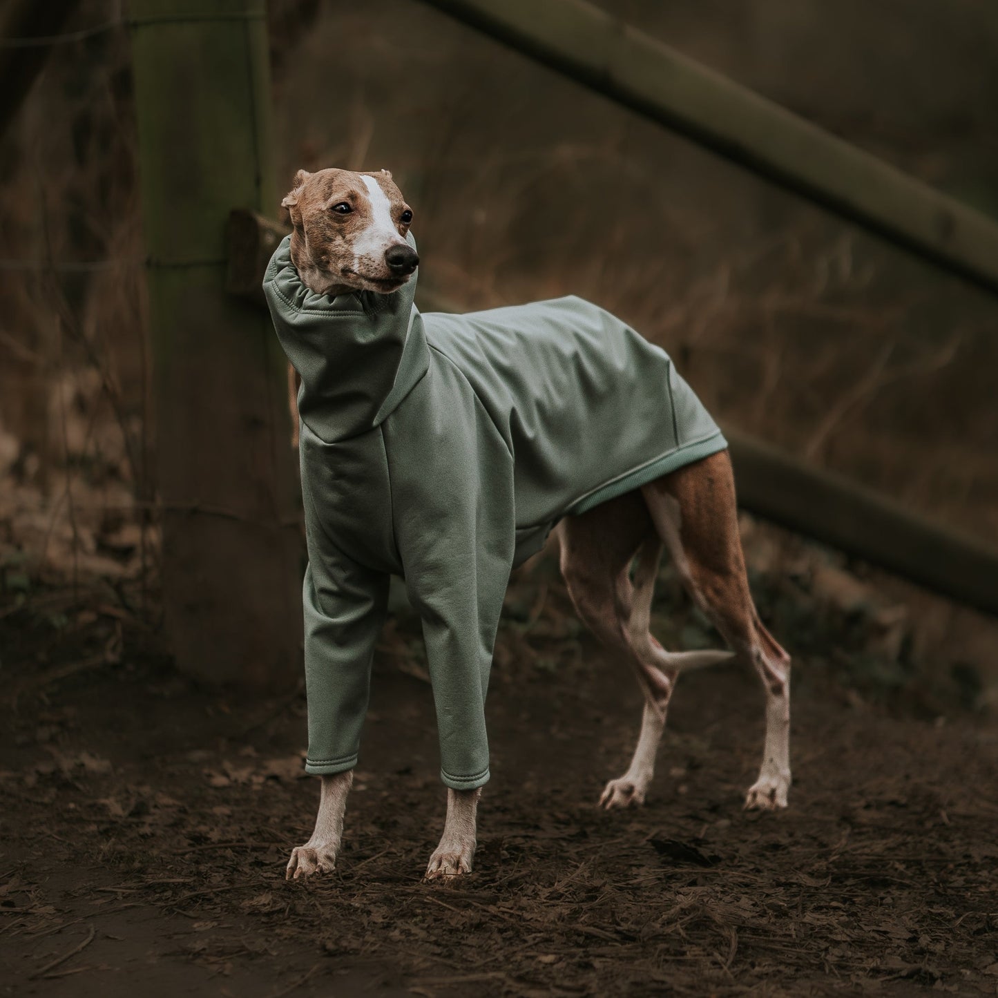 SAGE WATERPROOF COAT - Dog Raincoat