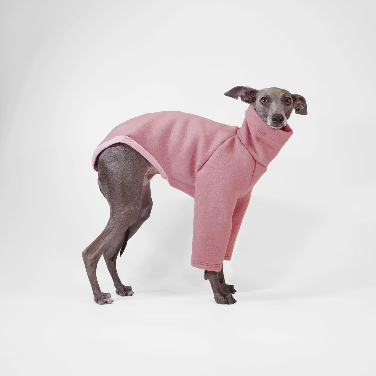 PINK CHAI WOOL-LOOK DOG JUMPER