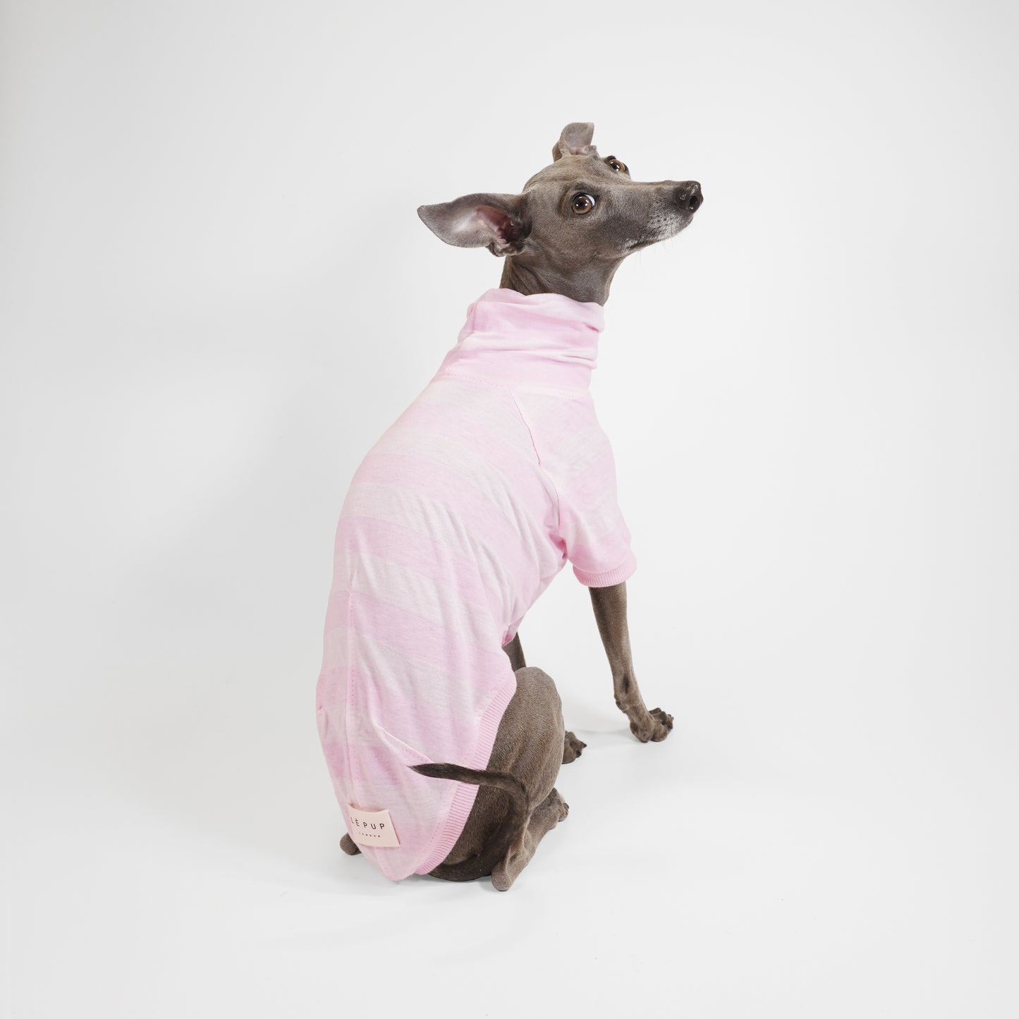 A back shot and close-up of an Italian Greyhound in a pink eco-friendly GOTS-certified cotton dog t-shirt by LE PUP.