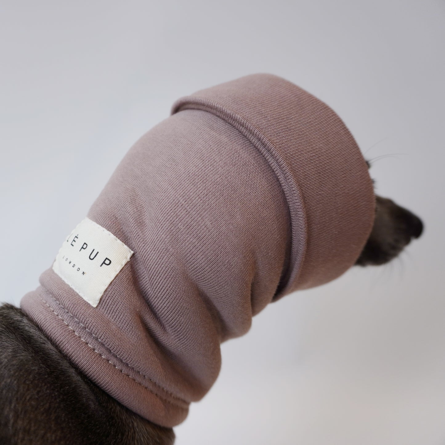 Calming dog ear snood that protects ears from the cold and noises by LE PUP.