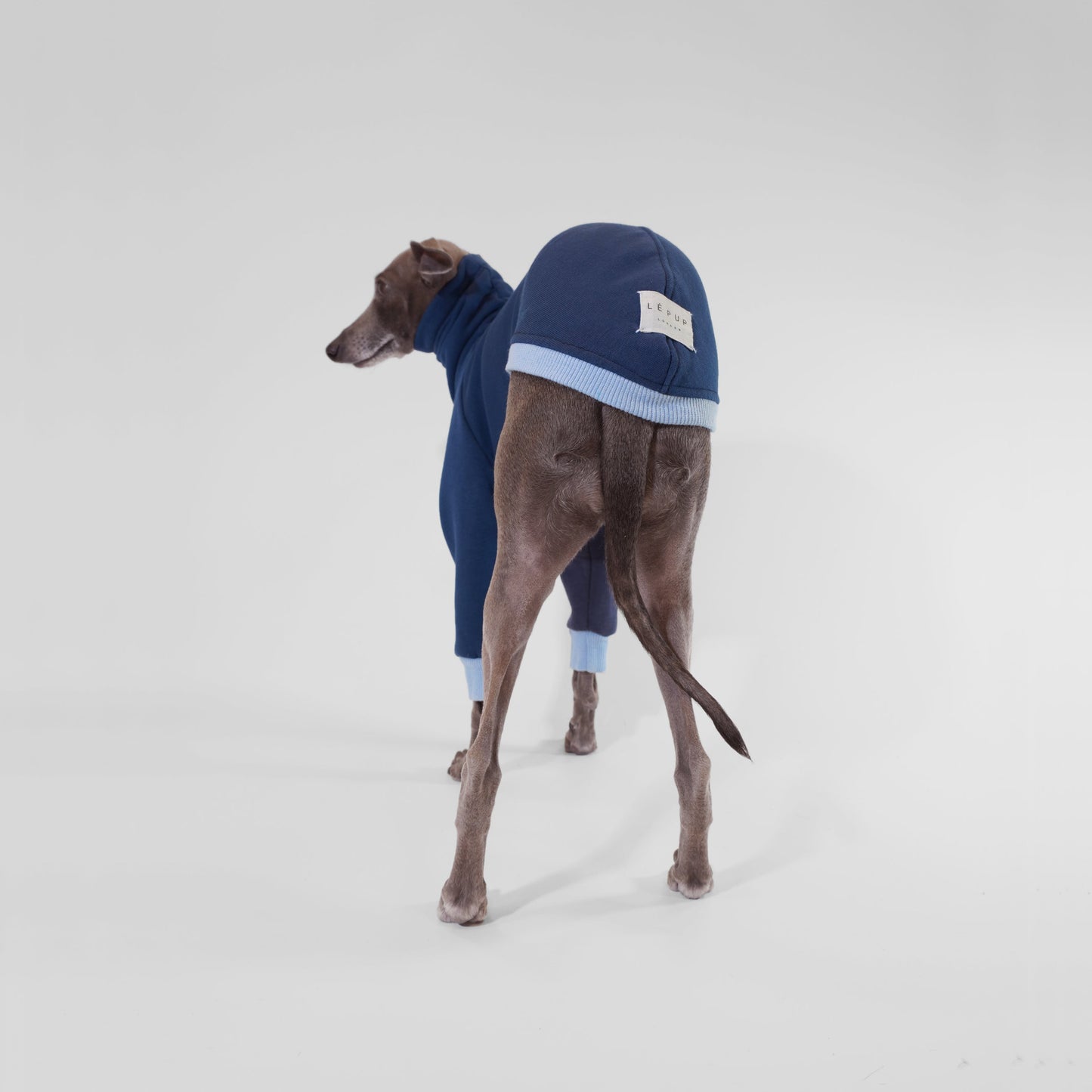 Bespoke Navy dog sweartshirt jumper with light blue cuff by LE PUP