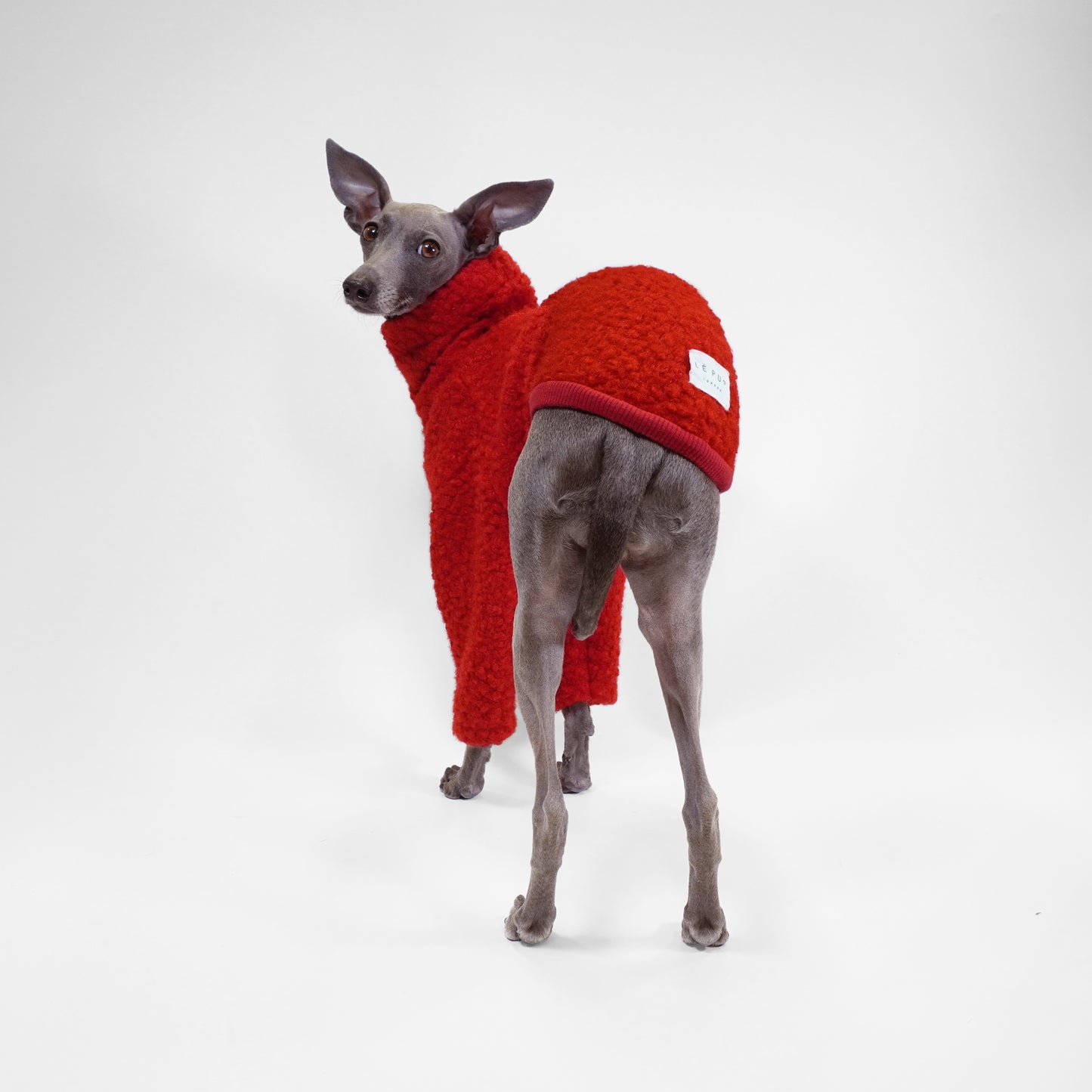 TANGHULU - Dog Jumper