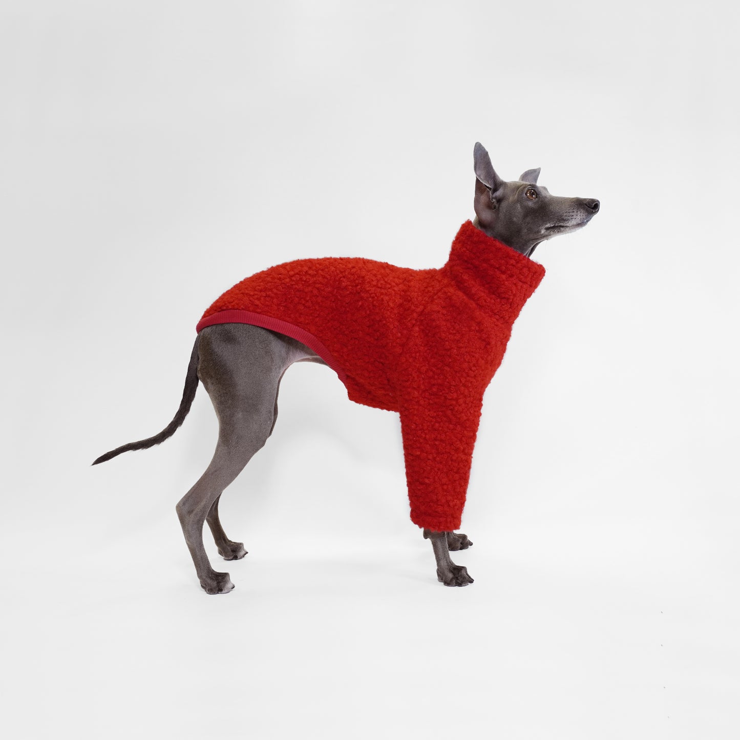 TANGHULU - Dog Jumper