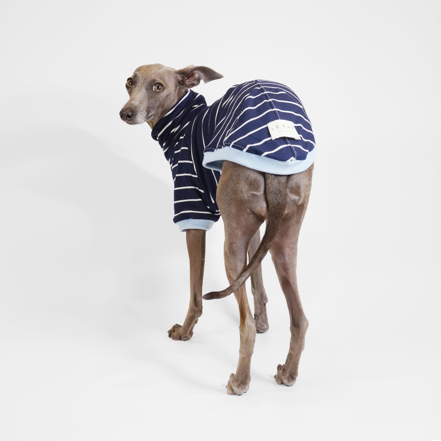 Back view of dog wearing cotton pyjamas in navy blue stripes by LE PUP.