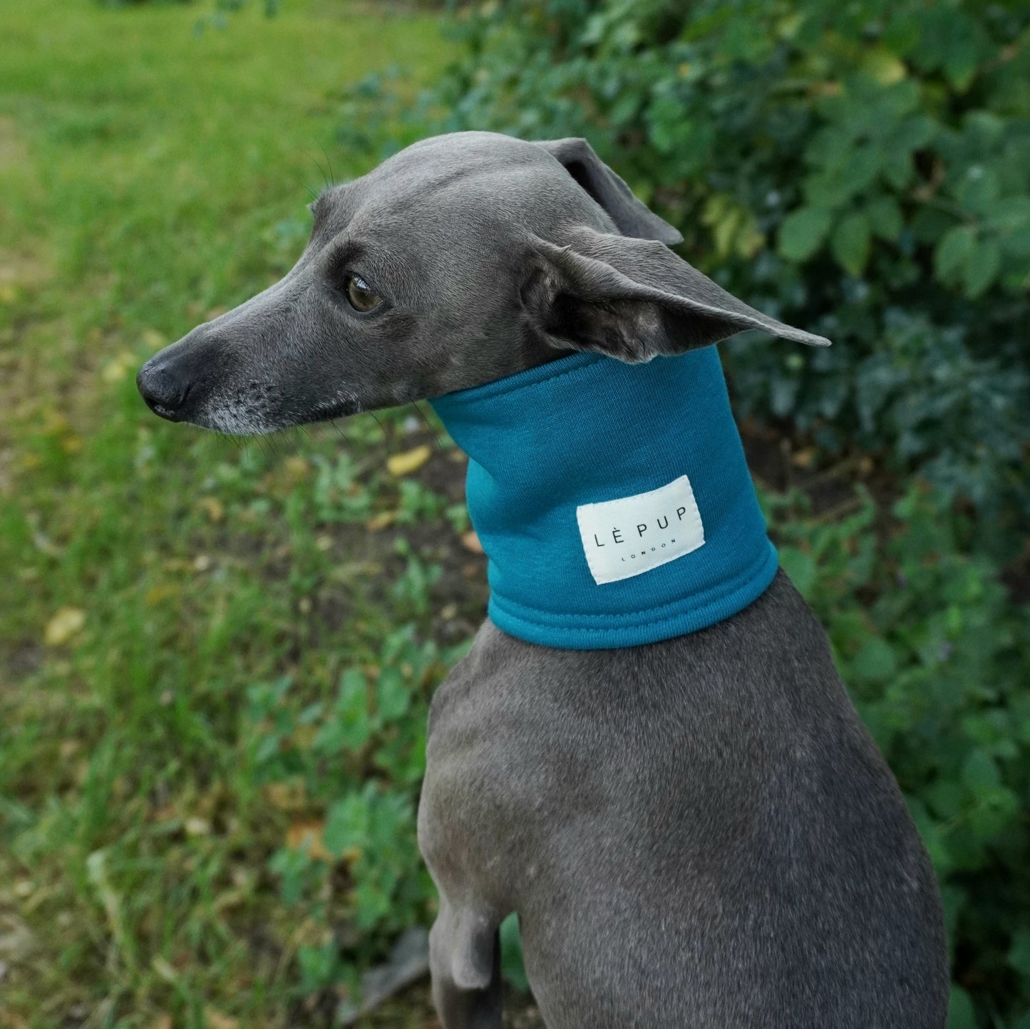 LÈ SNOOD - Dog Snood (Deep Teal)