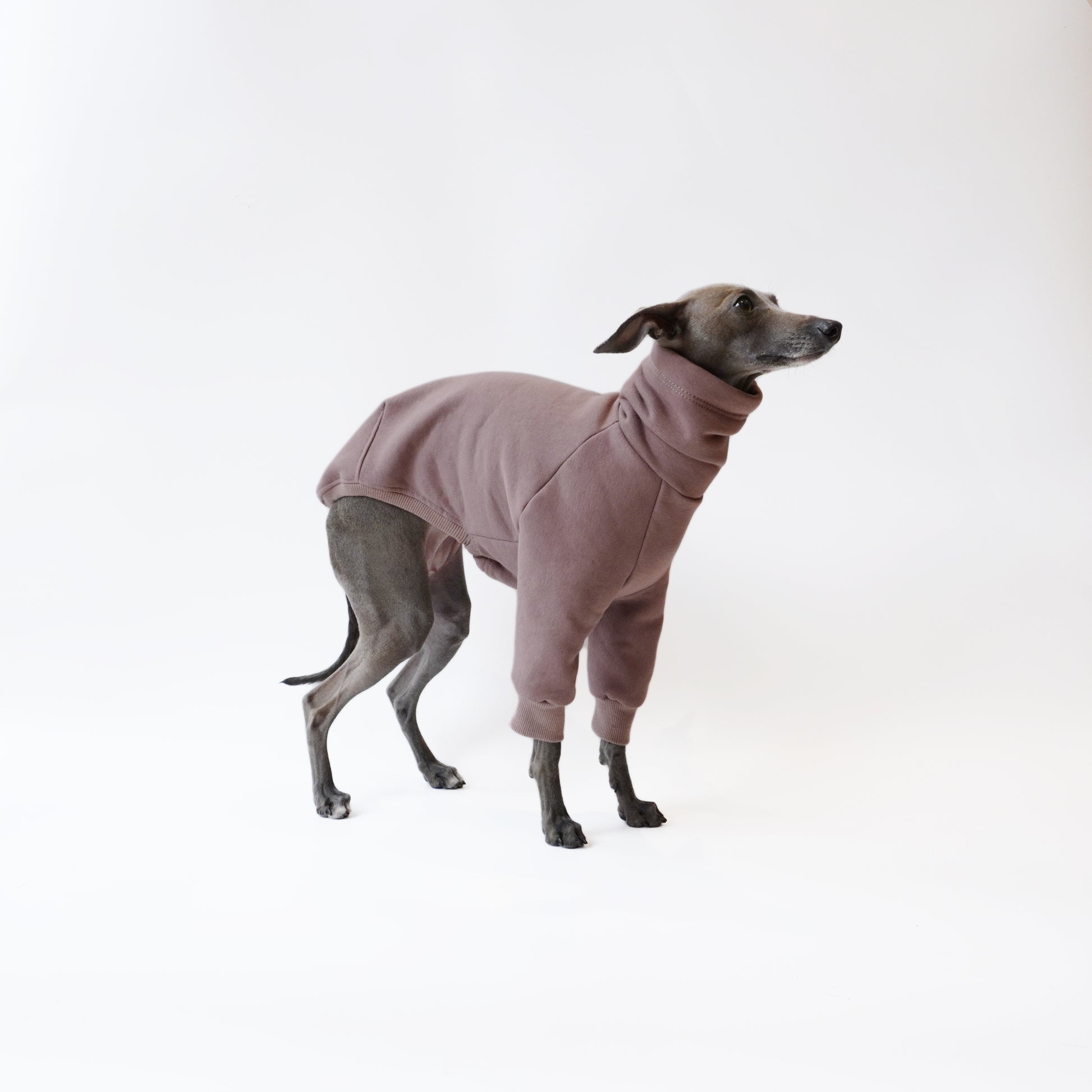 Cappuccino warm fleece jumper with snood neck for dogs made from eco-friendly oeko-tex fleece sweatshirt by LE PUP