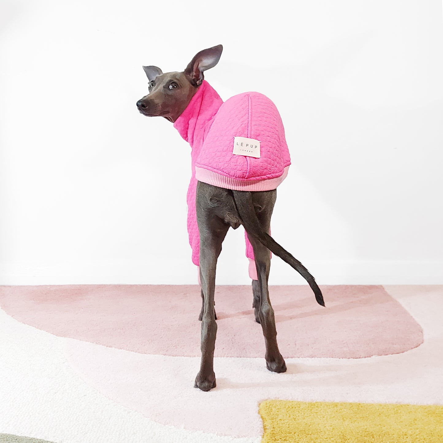 Back view of handmade in UK dog by LE PUP.