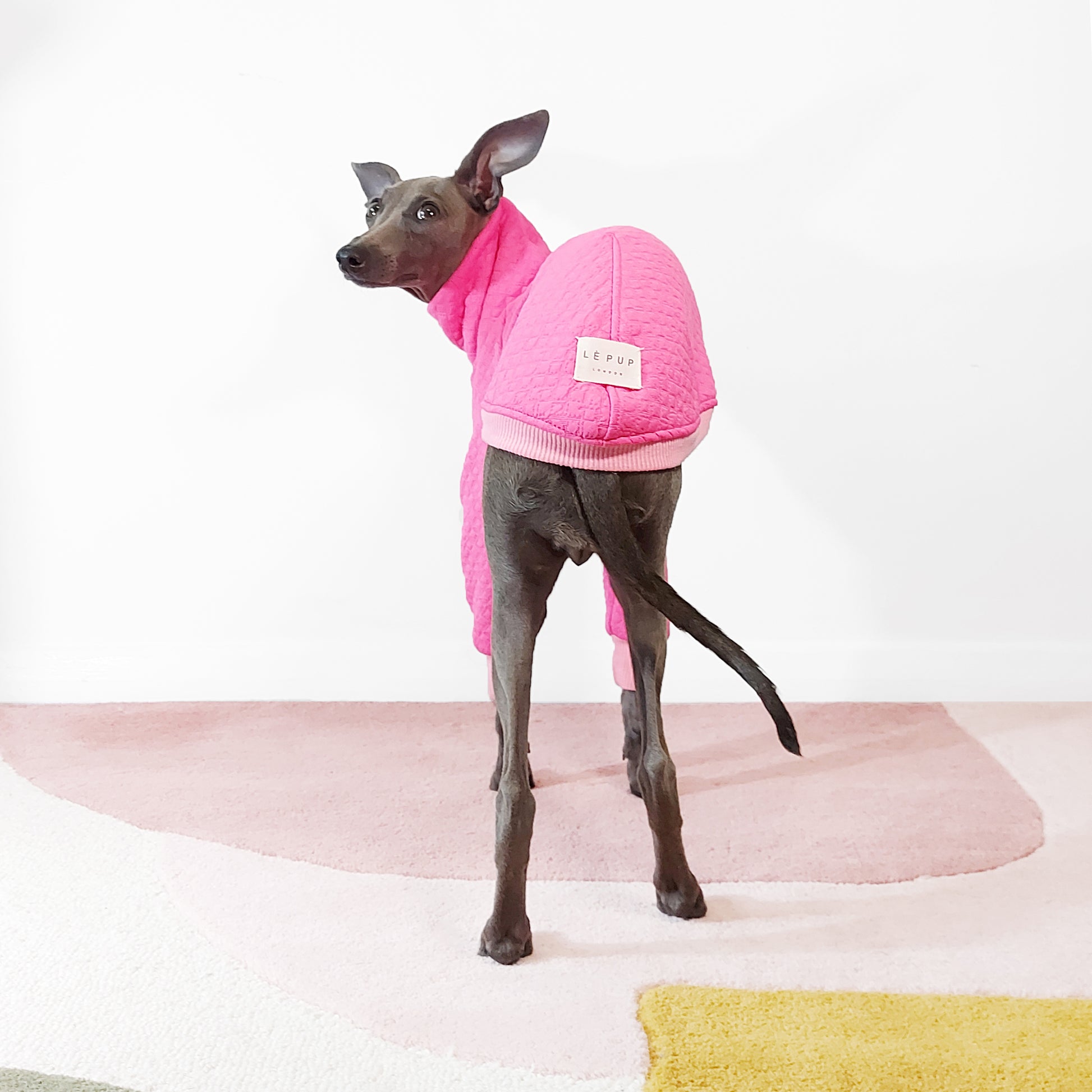 Back view of handmade in UK dog by LE PUP.