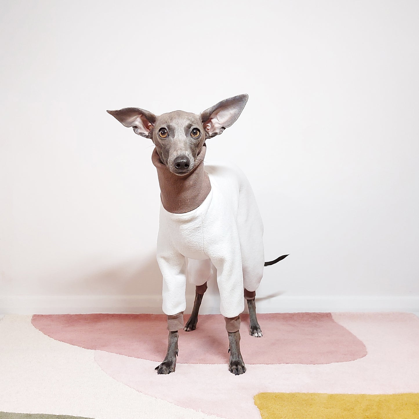 Front view of puppy wearing custom made dog onesie with back legs by LE PUP.