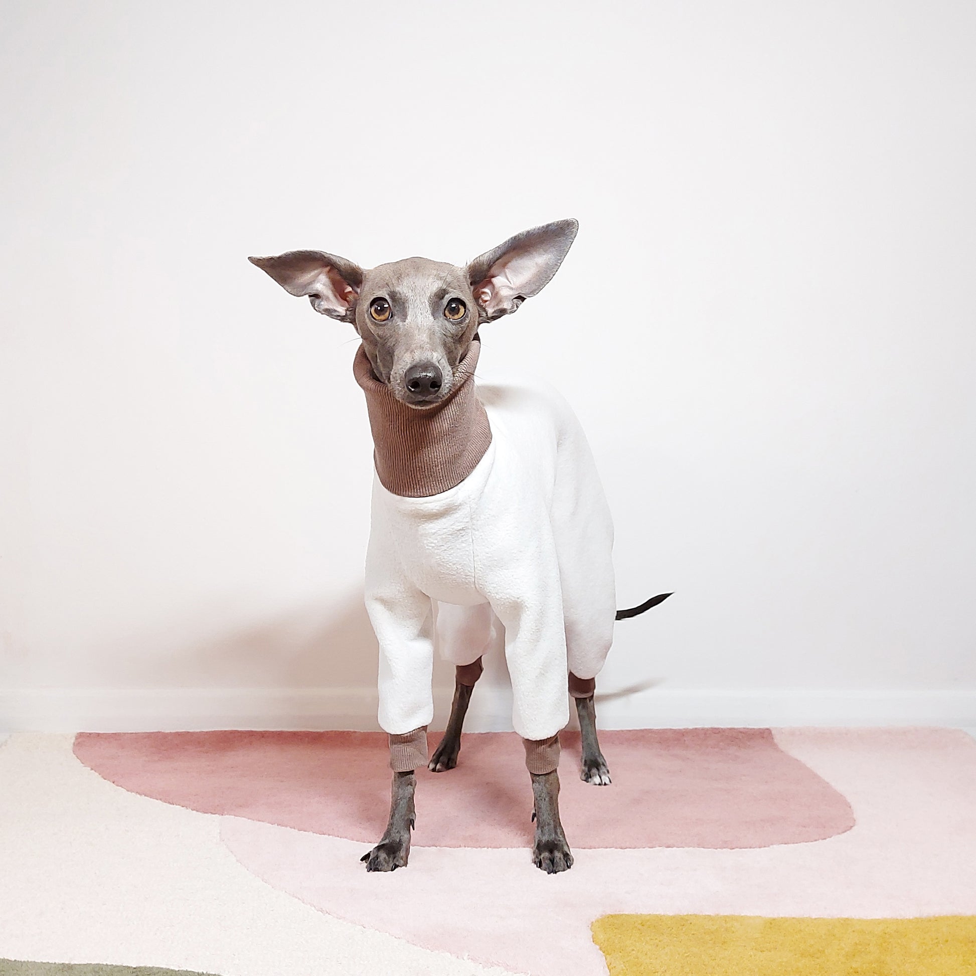Front view of puppy wearing custom made dog onesie with back legs by LE PUP.