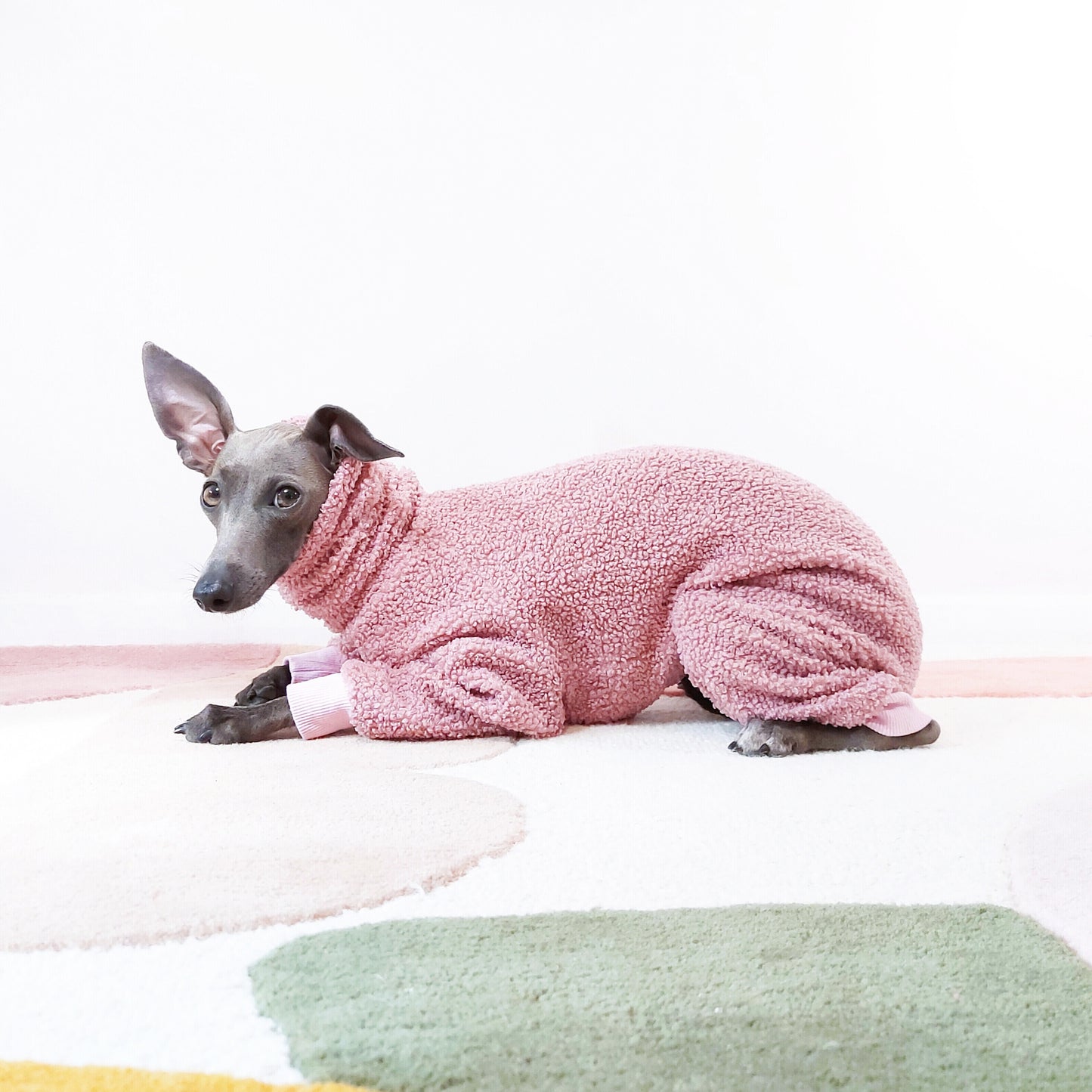 Italian greyhound and whippet laying down and wearinf pink fleece dog onesie worn by Tofu the Italian greyhound by LE PUP.