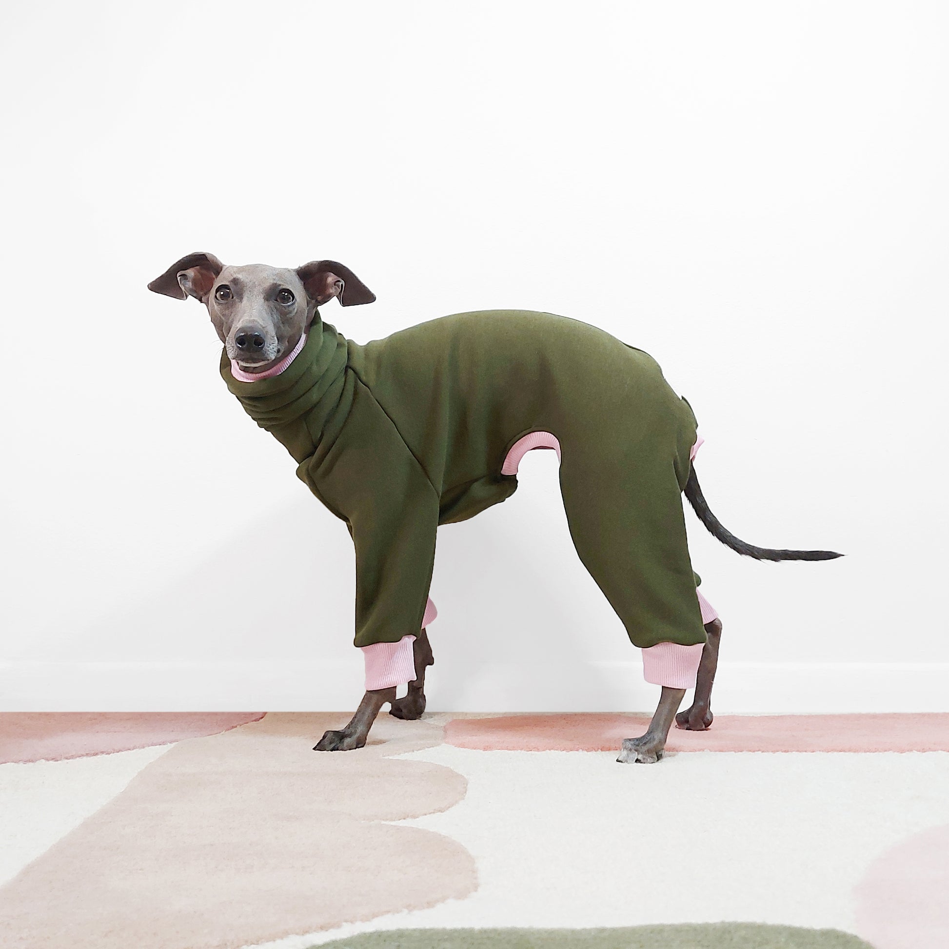 Side view of handmade bespoke  sweatshirt dog jumpsuit in soft fleece by LE PUP.