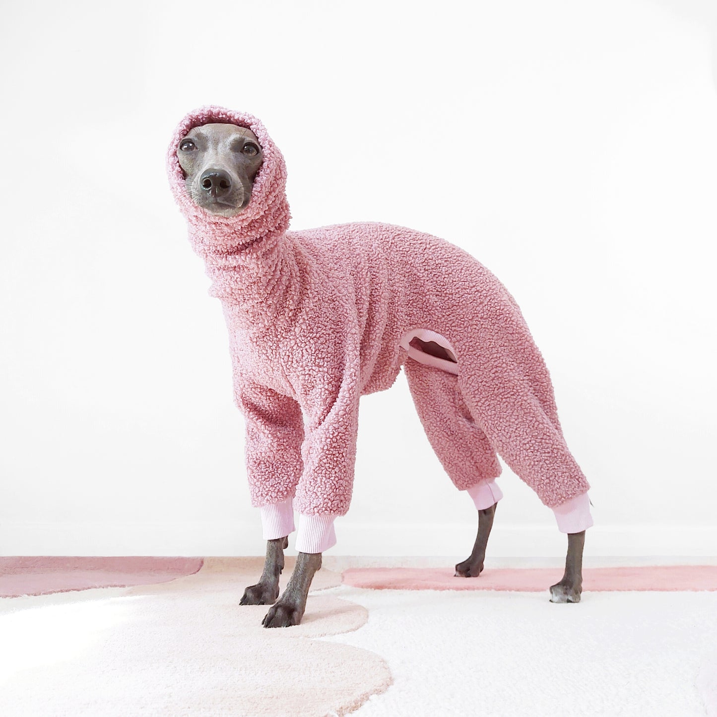 Cute Italian grehound wearing pink sherpa onesie with back legs and long snood for extra warmth by LE PUP.