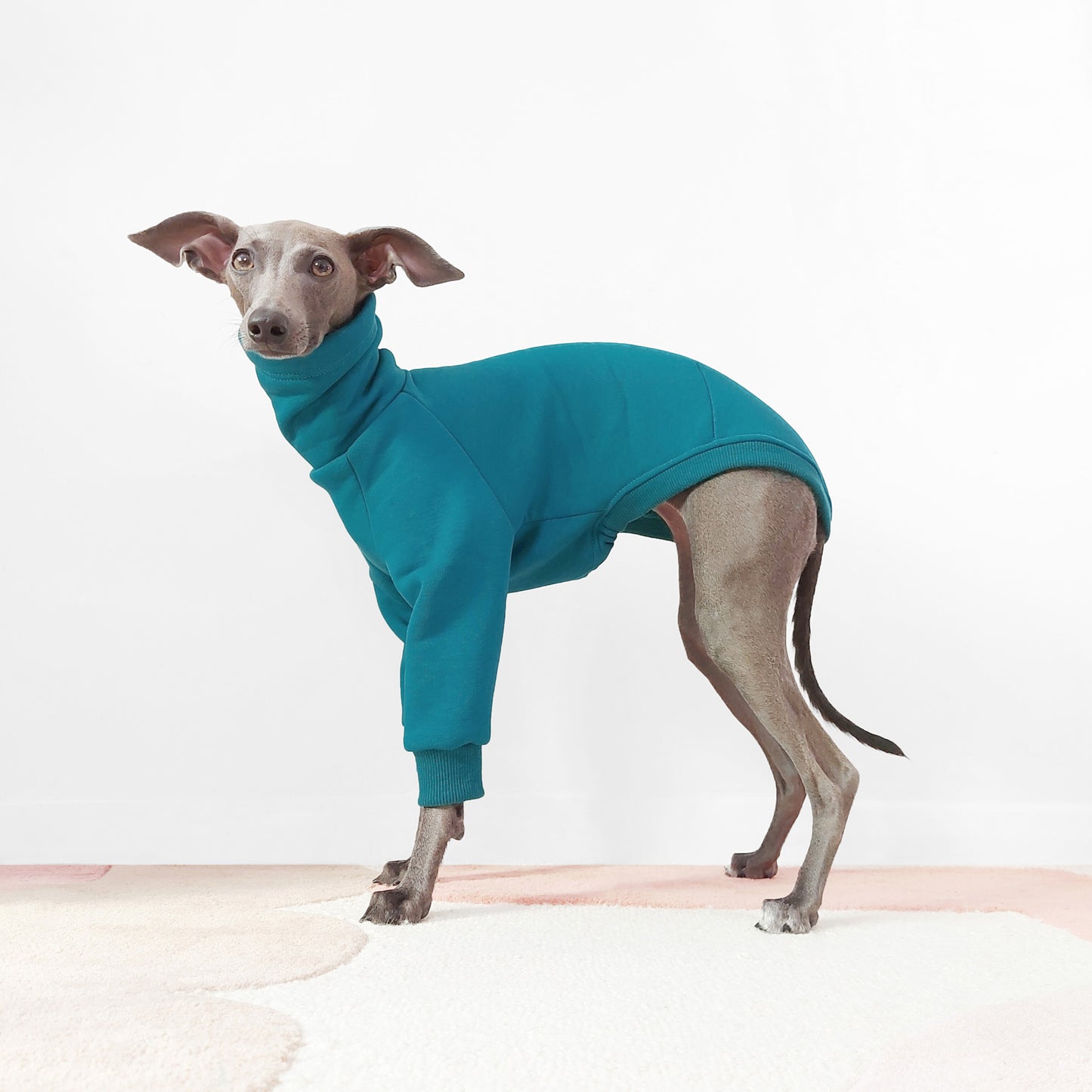 Italian Greyhound and whippet jumper for dogs made from eco-friendly Oeko-Tex fleece sweatshirt by LE PUP.