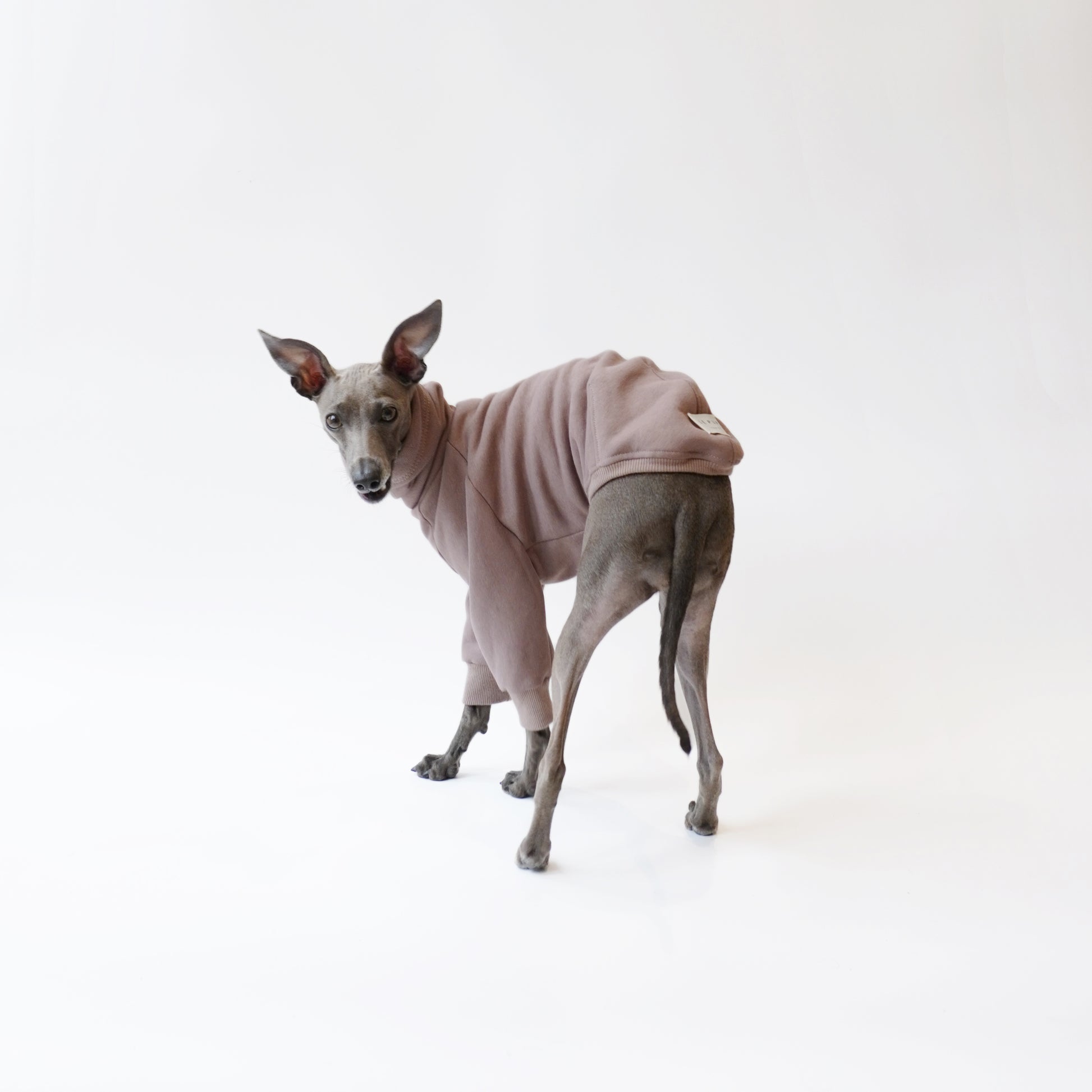 Back view of Cappuccino Iggy and Whippet fleece jumper for dogs made from eco-friendly Oeko-Tex fleece in London by LE PUP.