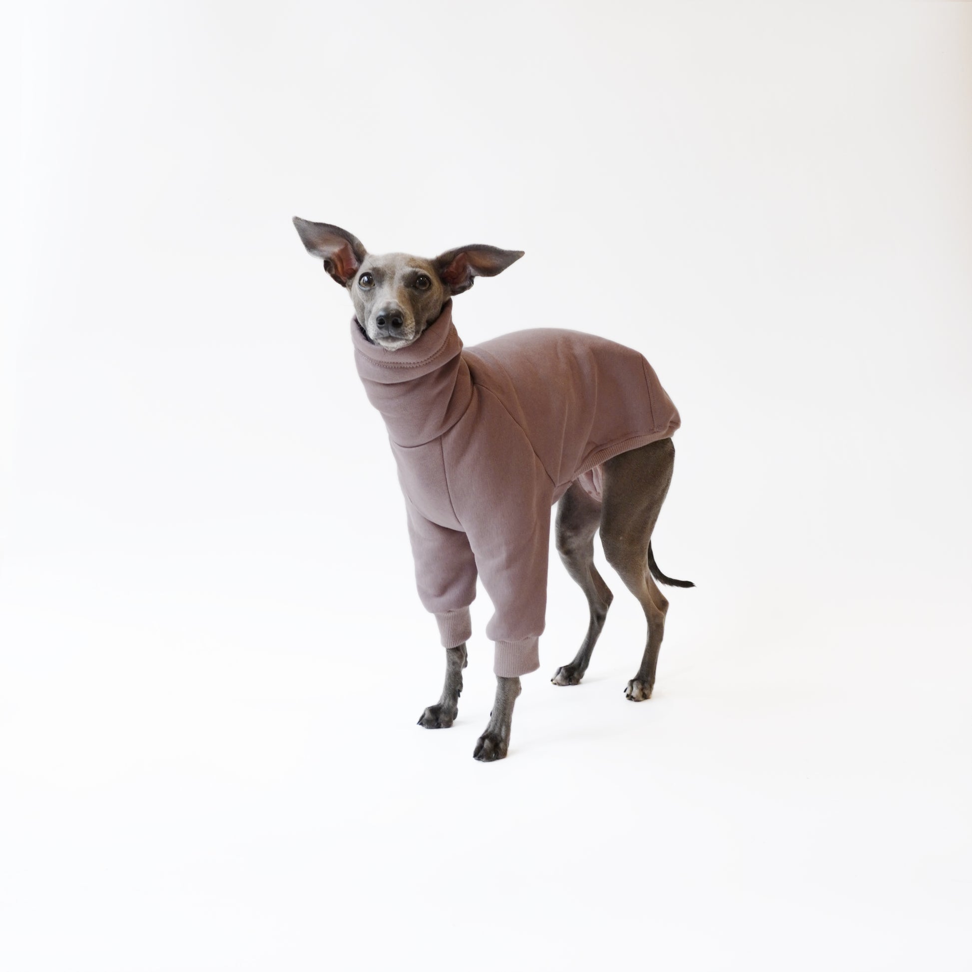 Cappuccino Sighthound jumper made from sustainable Oeko-Tex sweatshirt material by LE PUP.