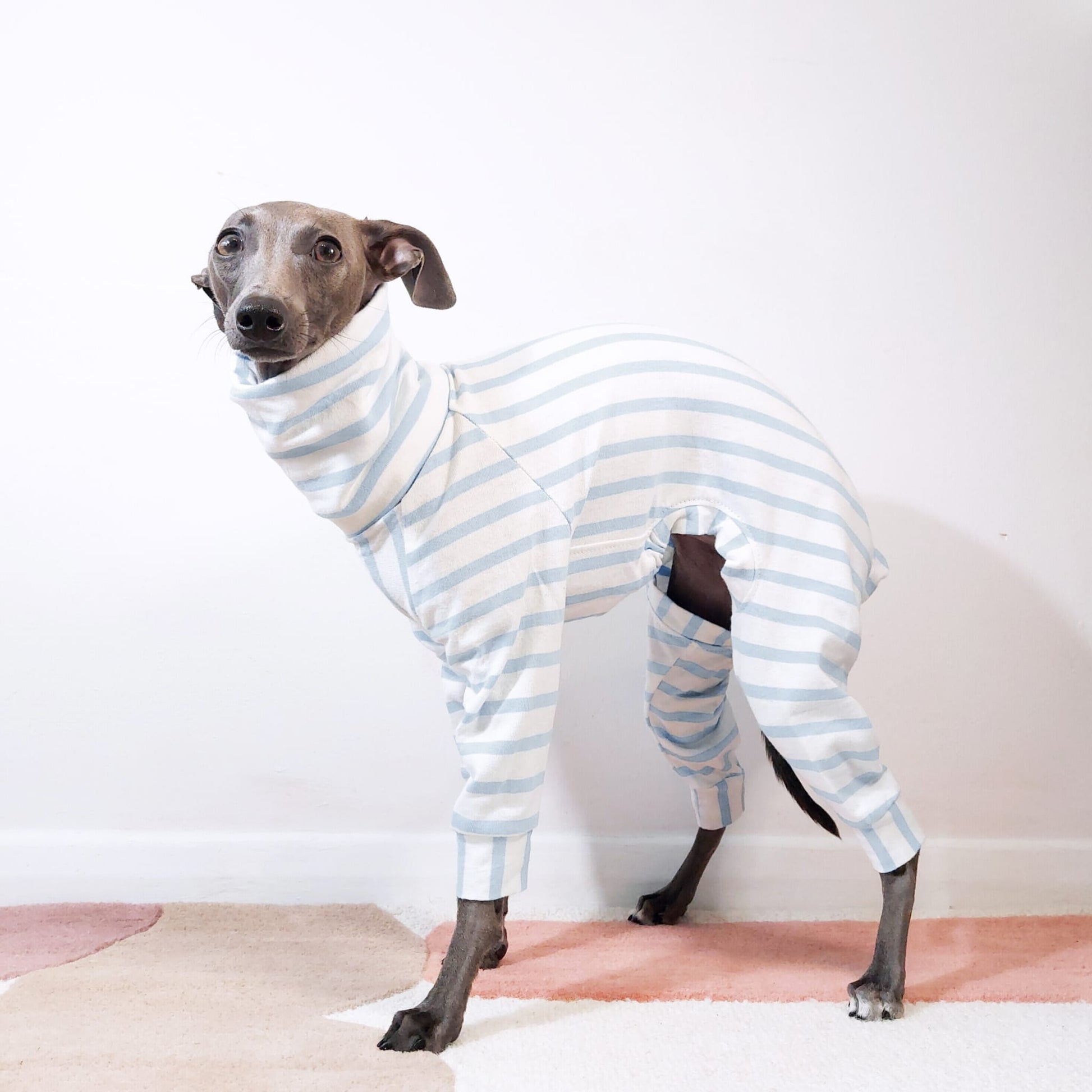 100% organic cotton handmade onesie for dogs perfectly fitted for Italian Greyhounds and whippets by Le Pup London