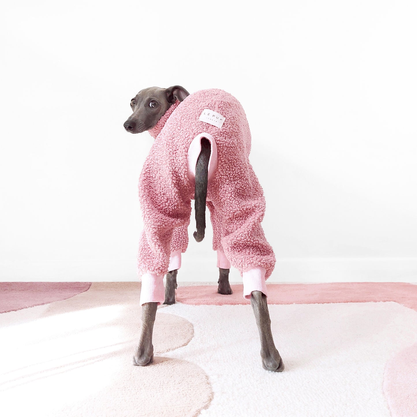 Photo from behind of an Italian greyhound wearing soft and fluffy sherpa fleece onesie by LE PUP.