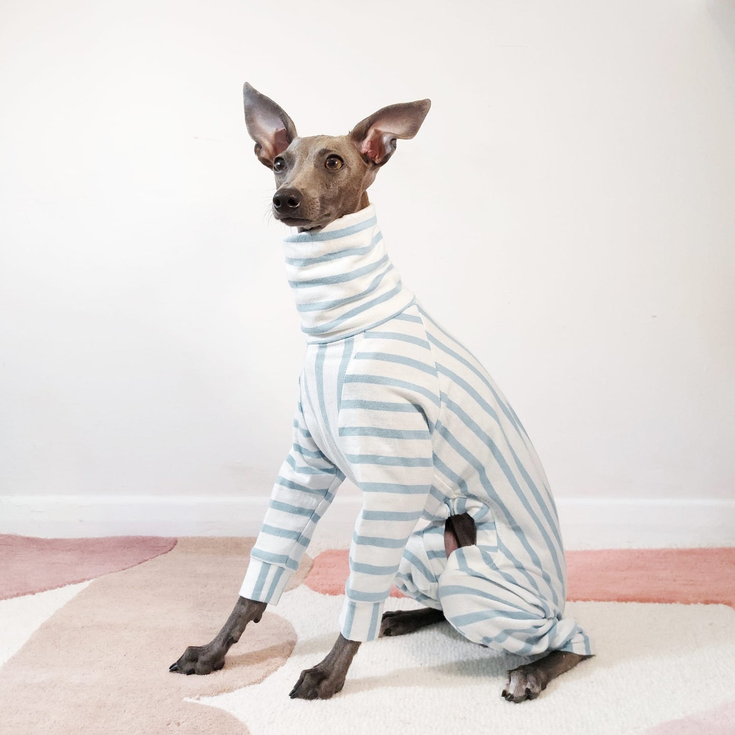 Made-to-measure blue striped 100% organic cotton sighthound dog clothing by Le Pup London