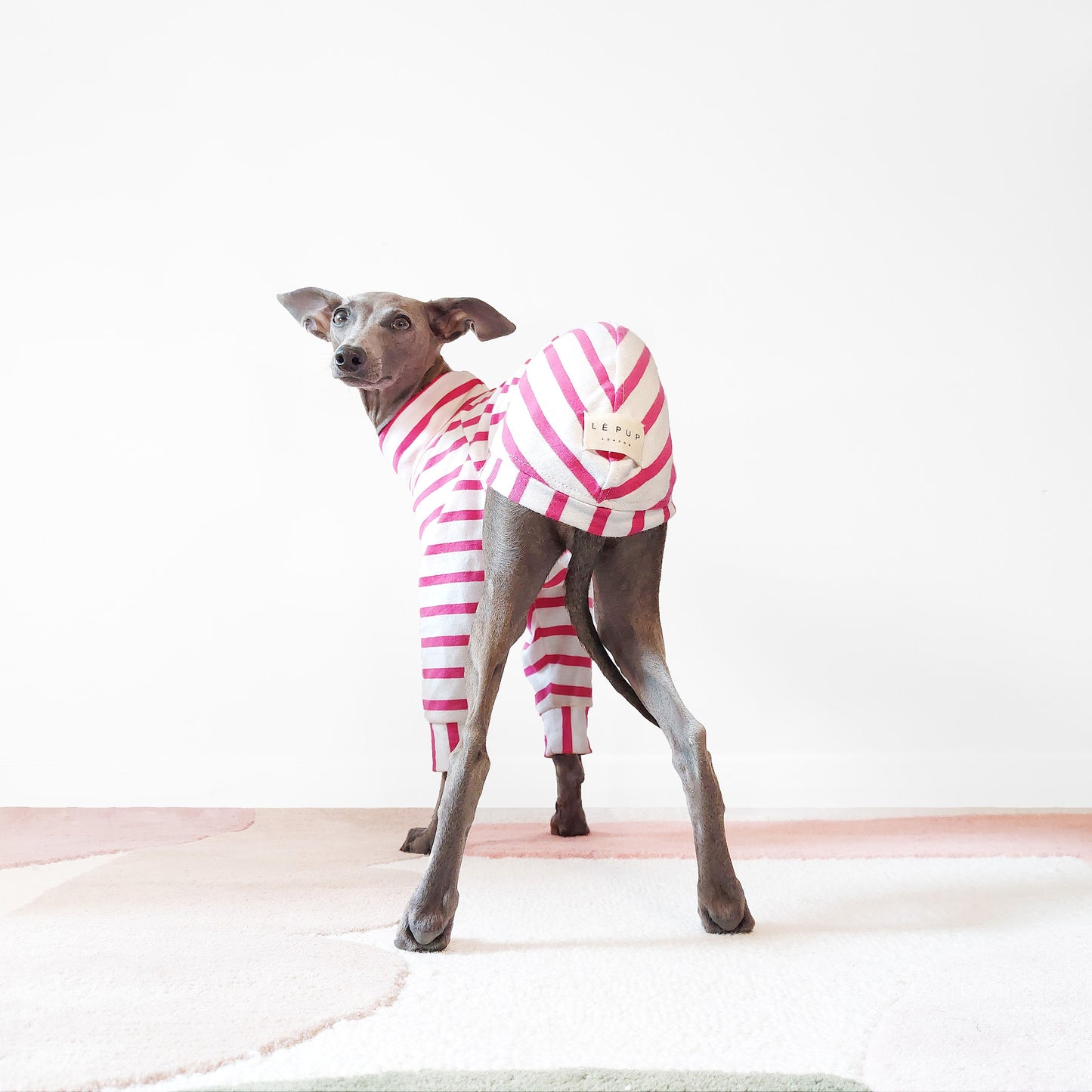 Rear-view of dog wearing custom made organic t-shirt in pink stripes by LE PUP.