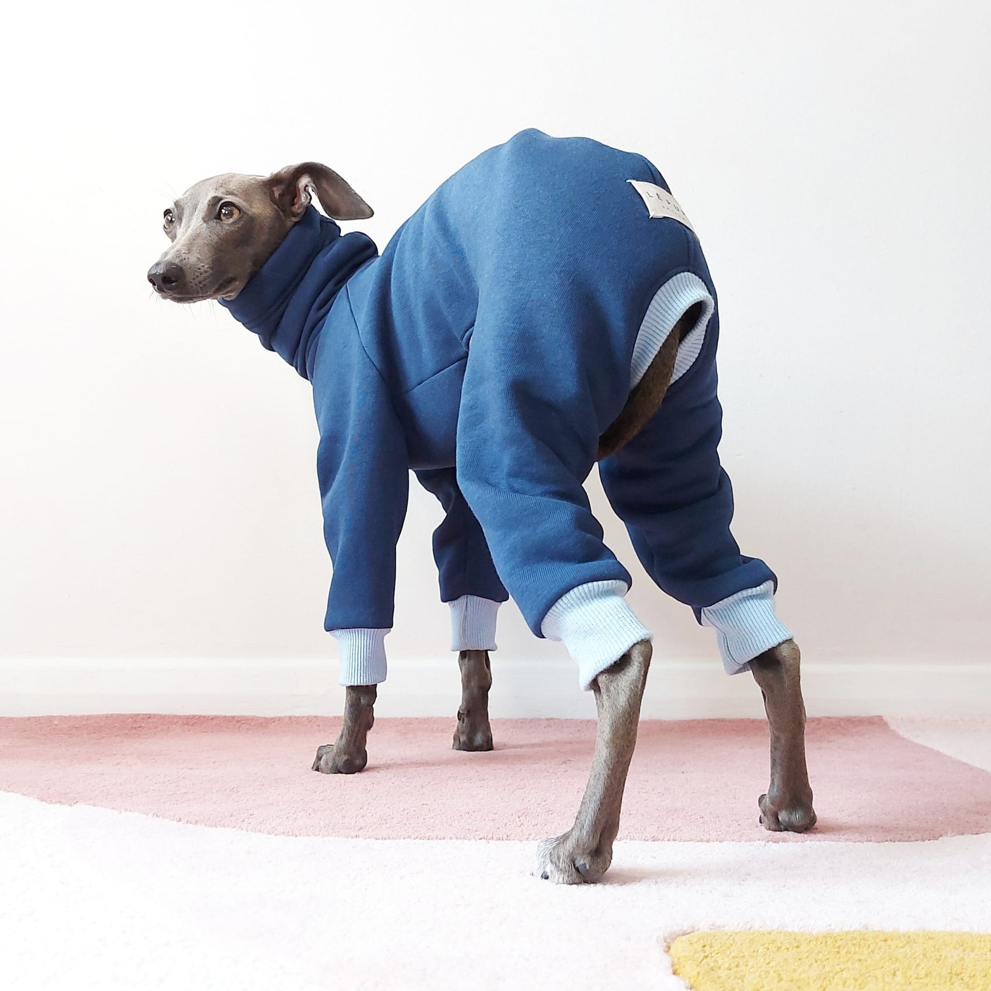 Eco-Friendly Italian Greyhound And Whippet Oeko-Tex dog onesie by LE PUP.