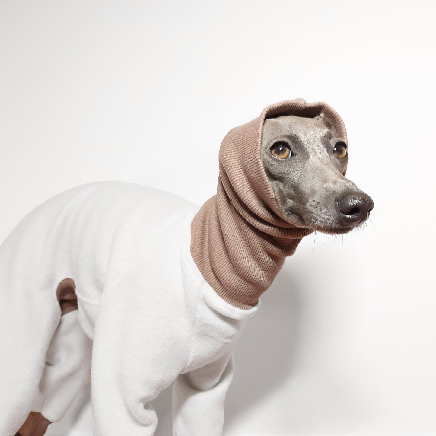 Close up head shot of Whippet wearing white fleece dog onesie with long dog snood covering ears by LE PUP.