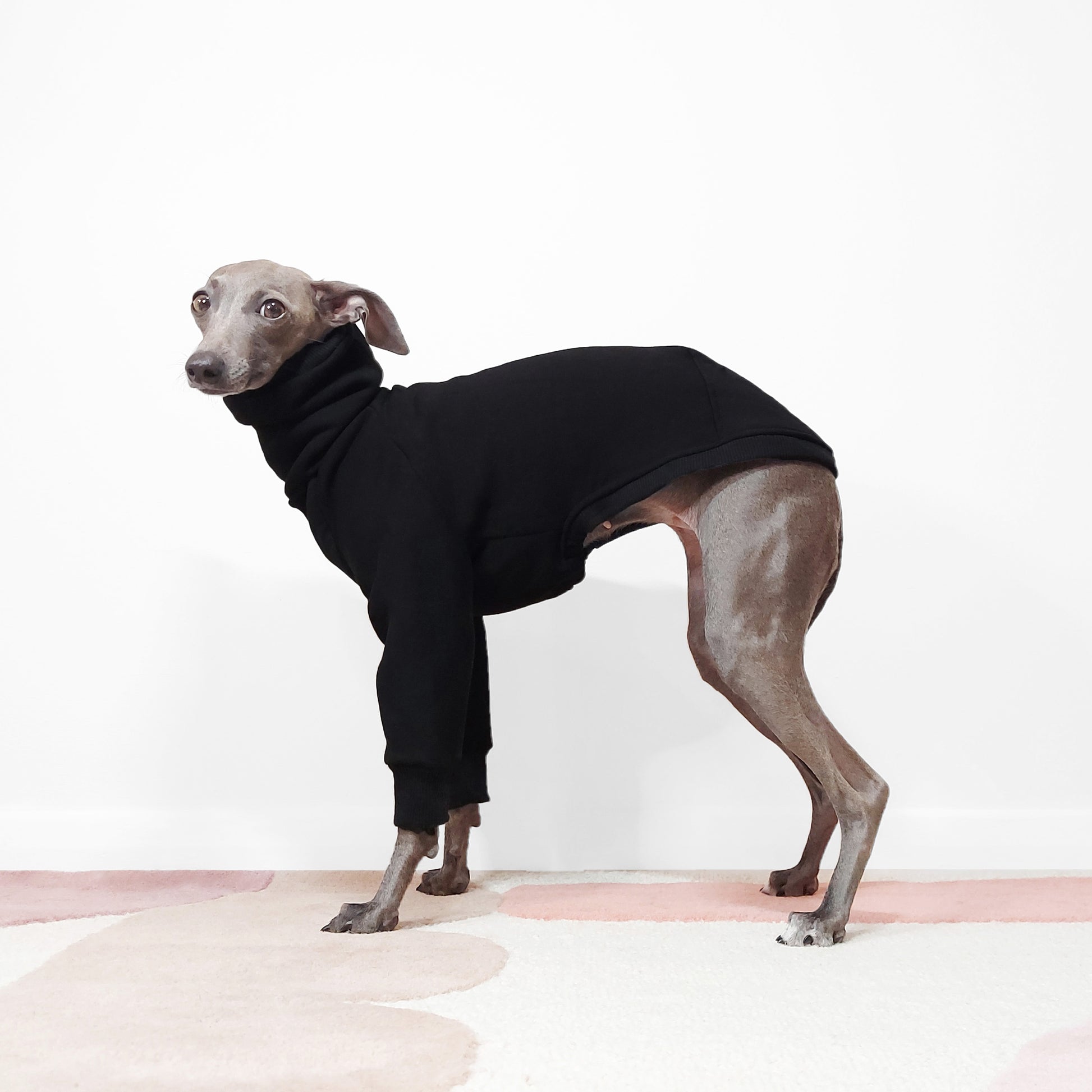 Italian Greyhound and Whippet Jumper for Dogs Made From Eco-friendly OEKO-TEX Fleece Sweatshirt by LE PUP.