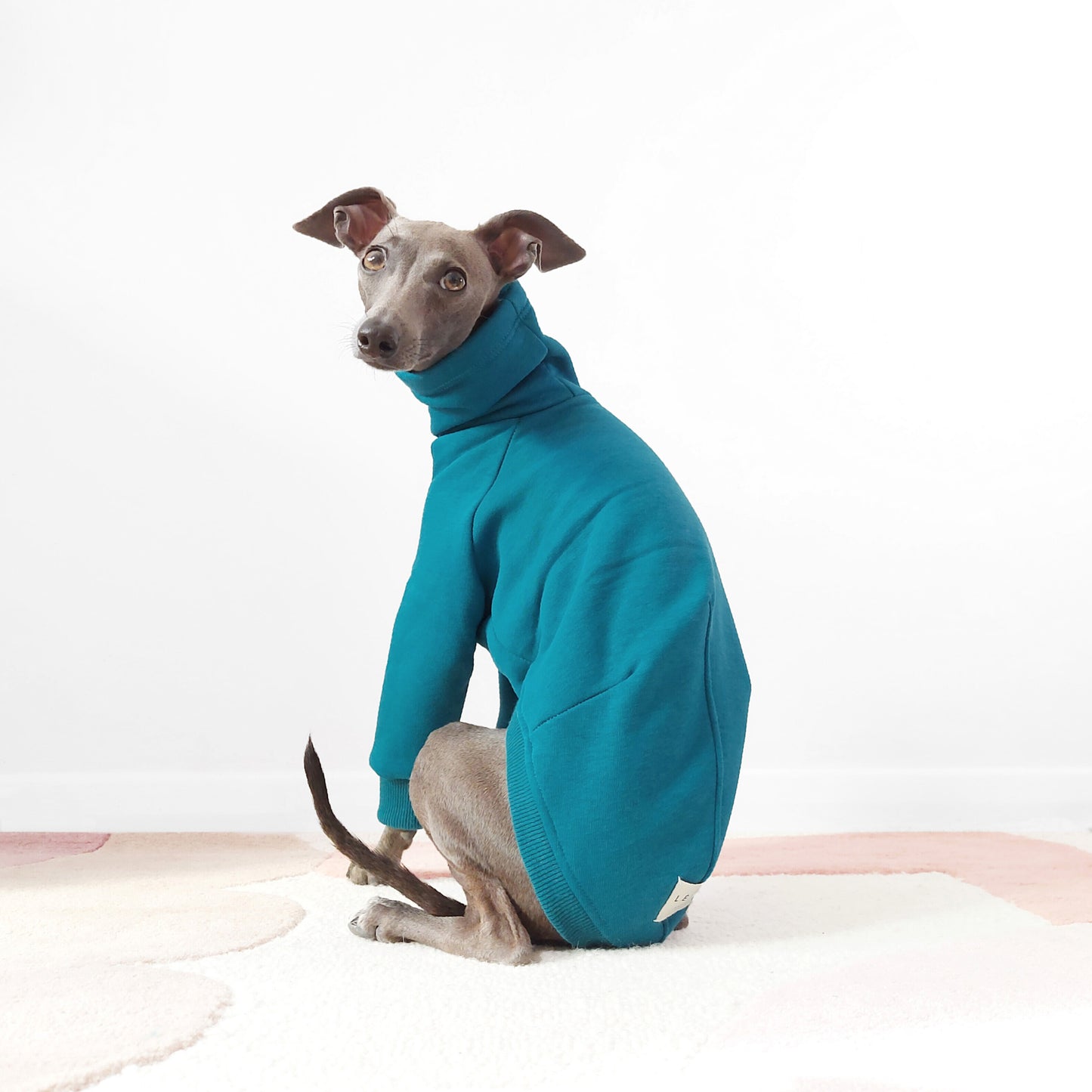 Bespoke sighthound jumper made from sustainable Oeko-Tex teal sweatshirt material by LE PUP.