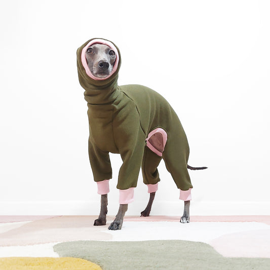 Italian greyhound wearing green alpine fleece dog onesie with pink trim with long snood covering ears by LE PUP.