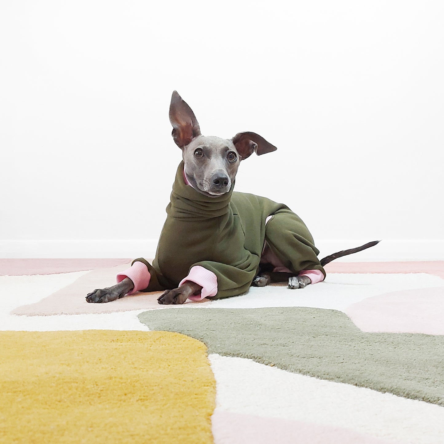 Front view of sitting dog wearing pink and green dog clothes. custom fit by LE PUP.