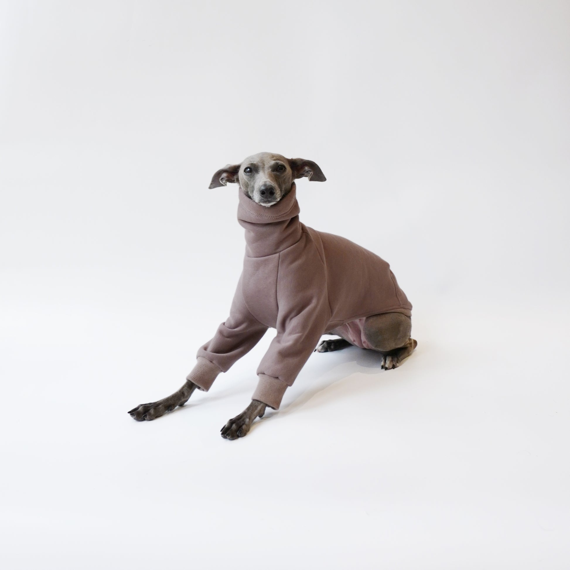 Iggy pup sitting wearing a LÈ PUP bespoke dog jumper made from eco-friendly Oeko-Tex fleece sweatshirt by LE PUP.