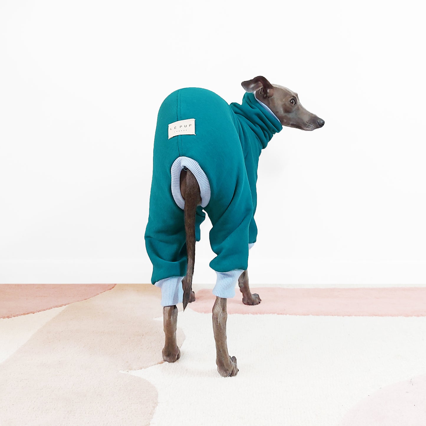 Photo from behind of a whippet in a perfectly-fitted bespoke dog onesie made from sweatshirt materials by LE PUP.