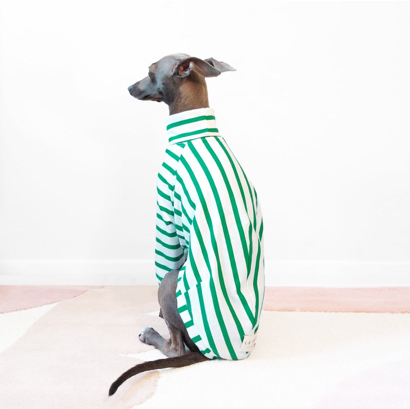 Back view of Whippet wearing organic cotton t-shirt suitable for sensitive skin by LE PUP.