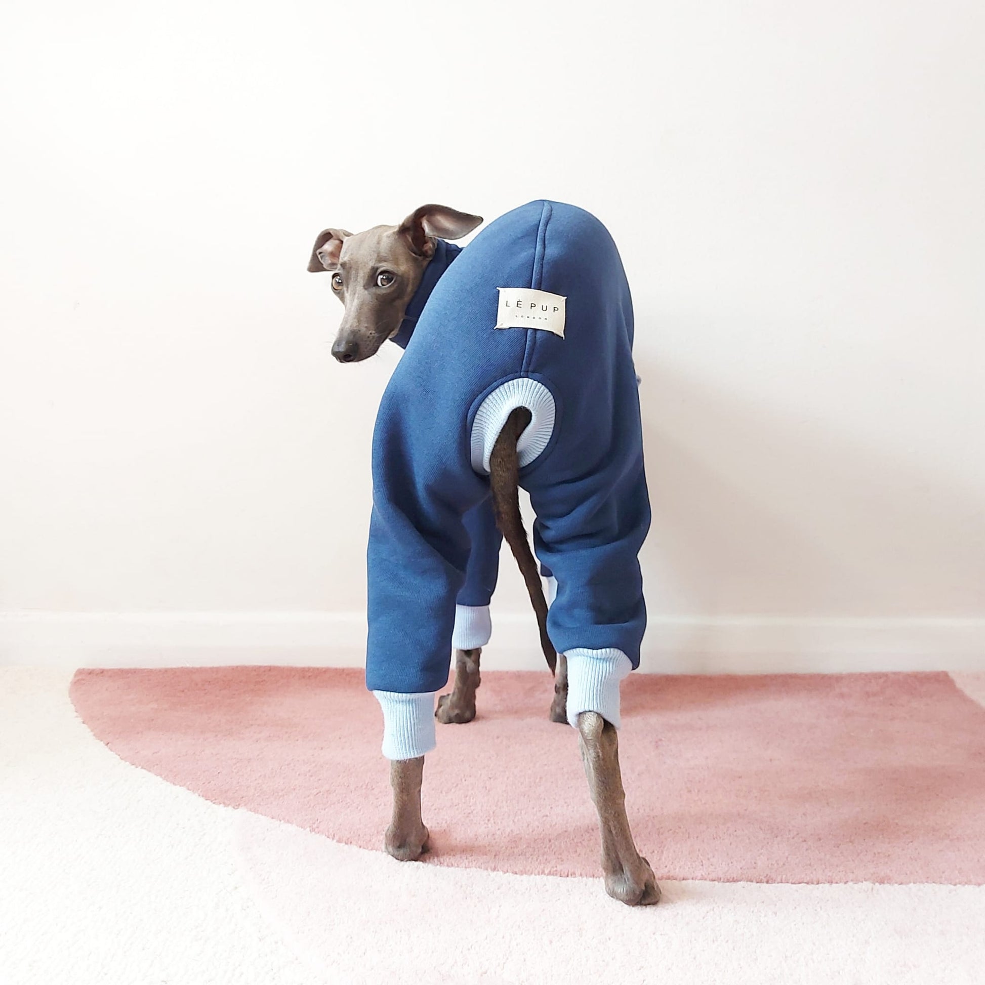 Back view of sustainable Oeko-Tex Italian greyhound and whippet dog sweatshirt by LE PUP.