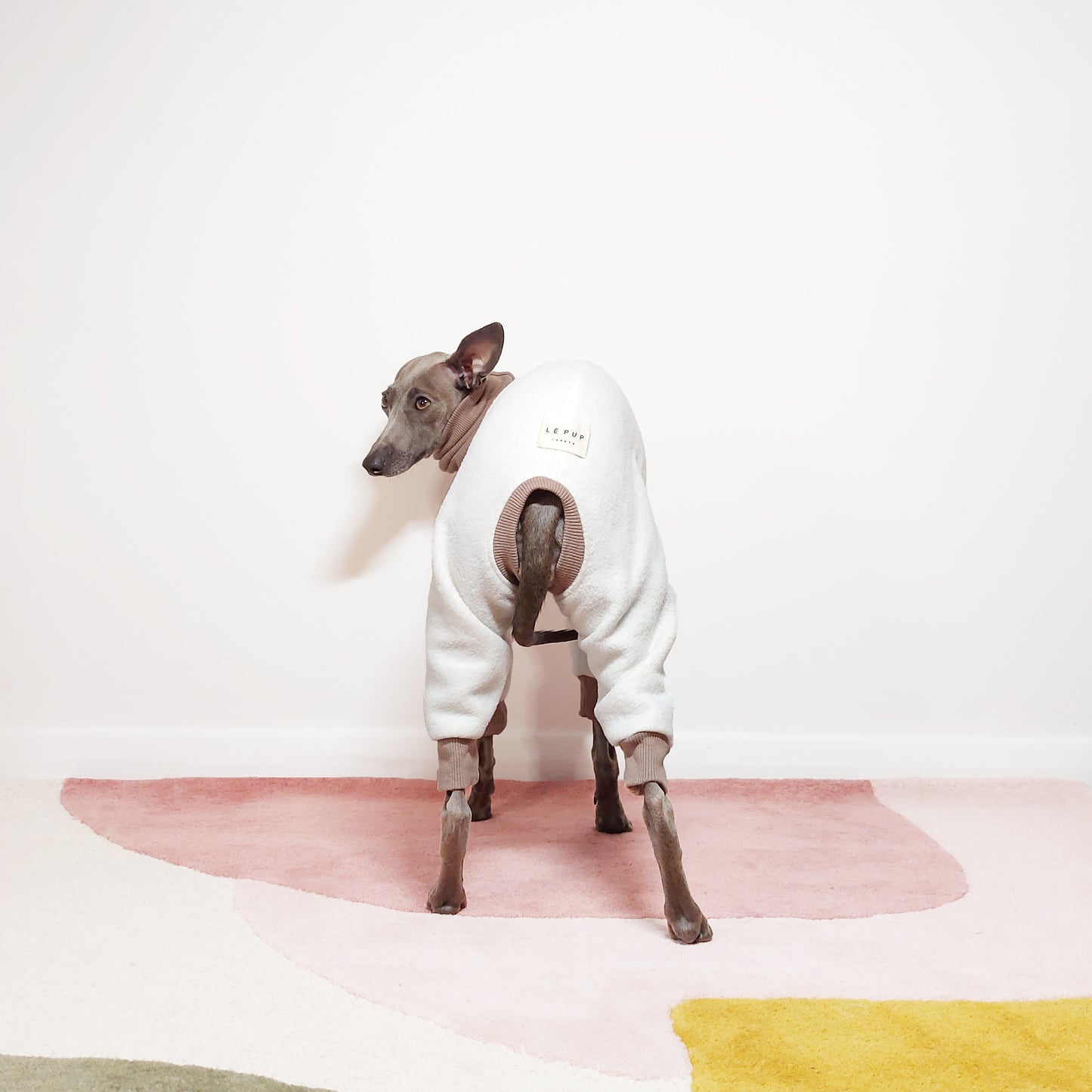 Back view shot of dog wearing perfectly fitted dog onesie made to measure by LE PUP.