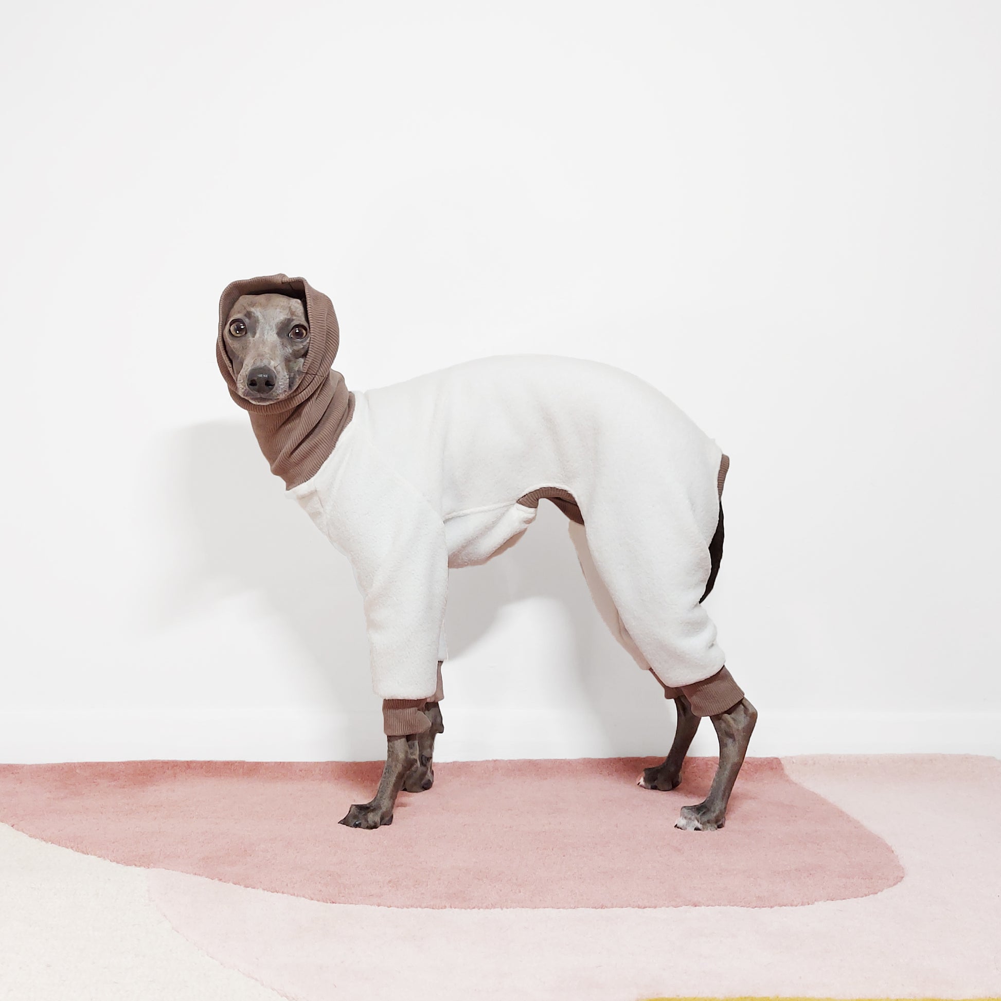 Italian greyhound wearing white fleece onesie with long neck snood to keep ears warm by LE PUP.