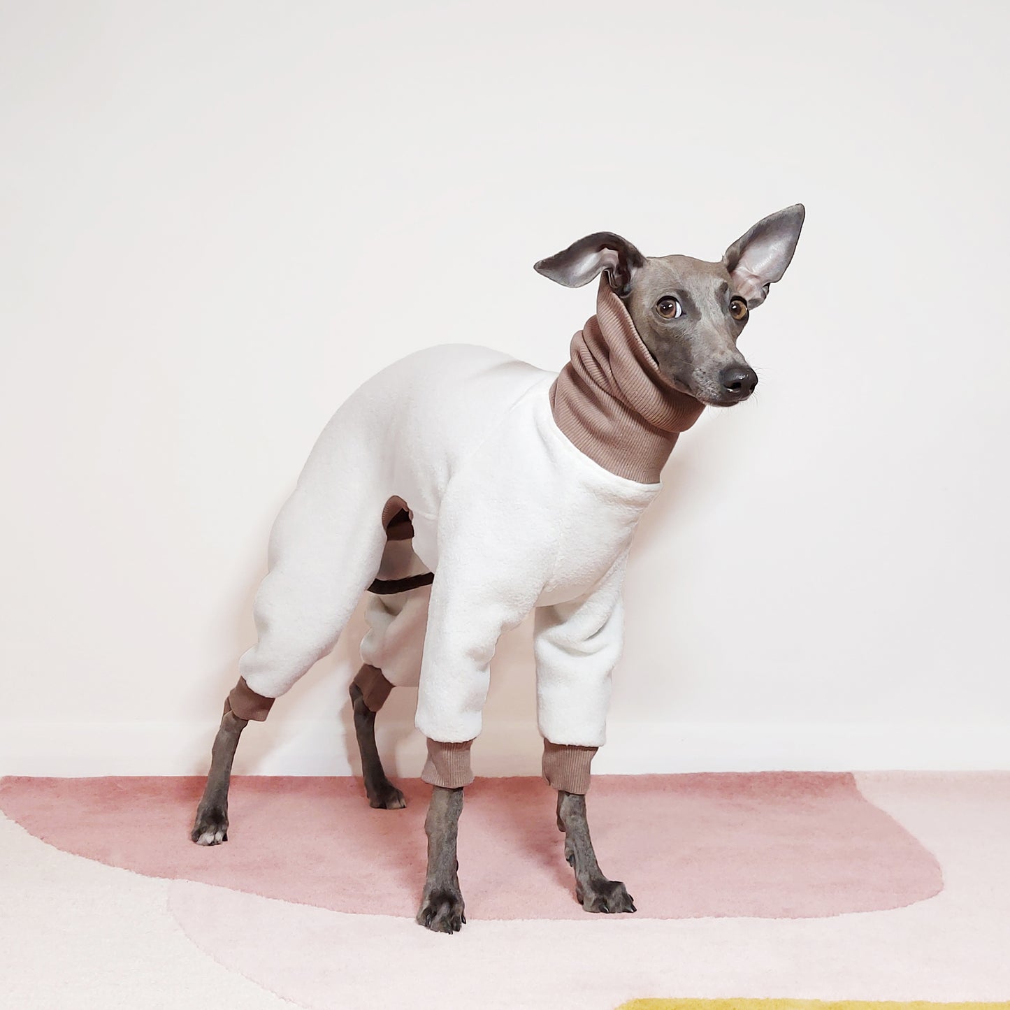 Front view of Italian greyhound wearing white fleece with brown trim dog onesie by LE PUP.