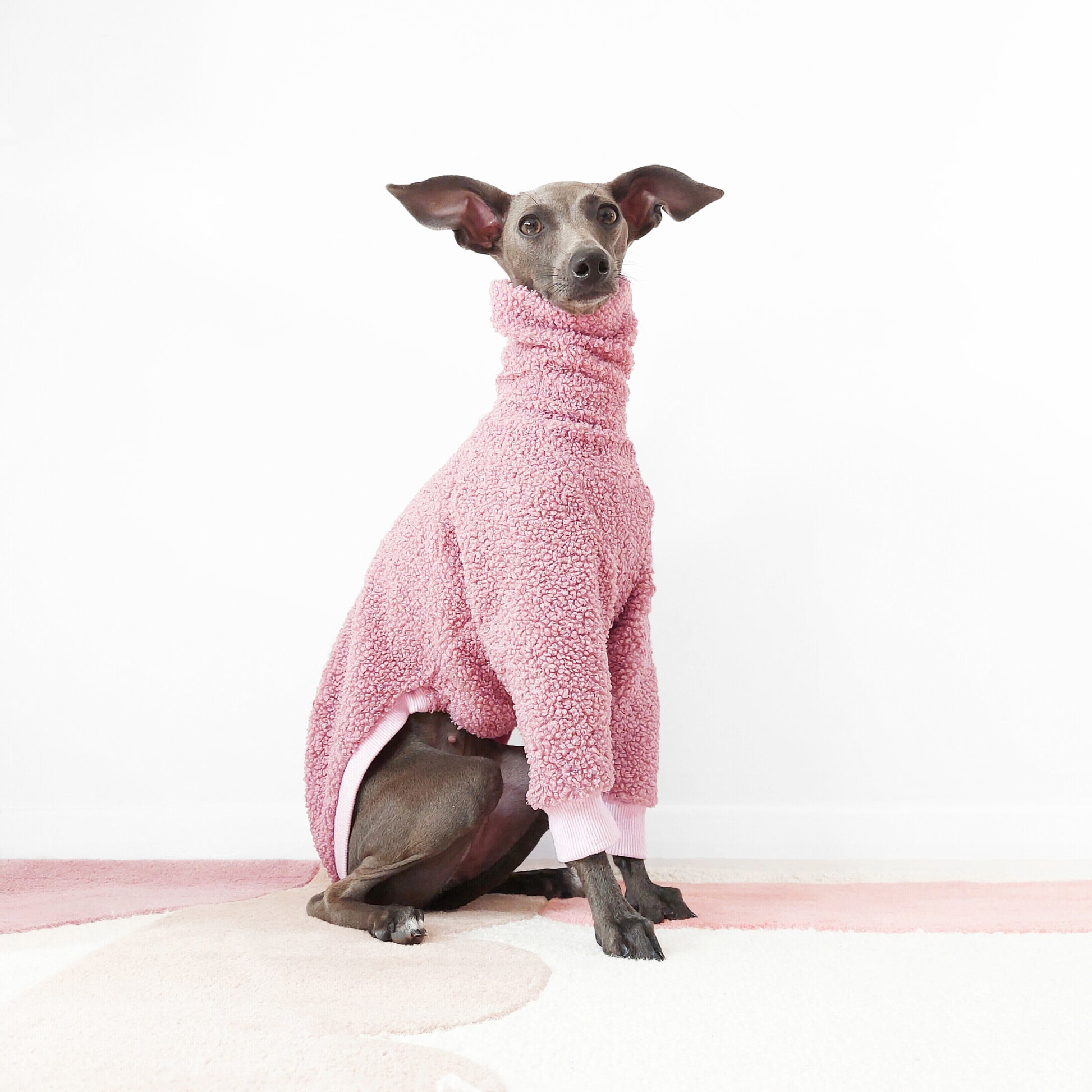 Sitting side view of Italian greyhound dog wearing a sherpa fleece dog jumper in pink, by LE PUP.