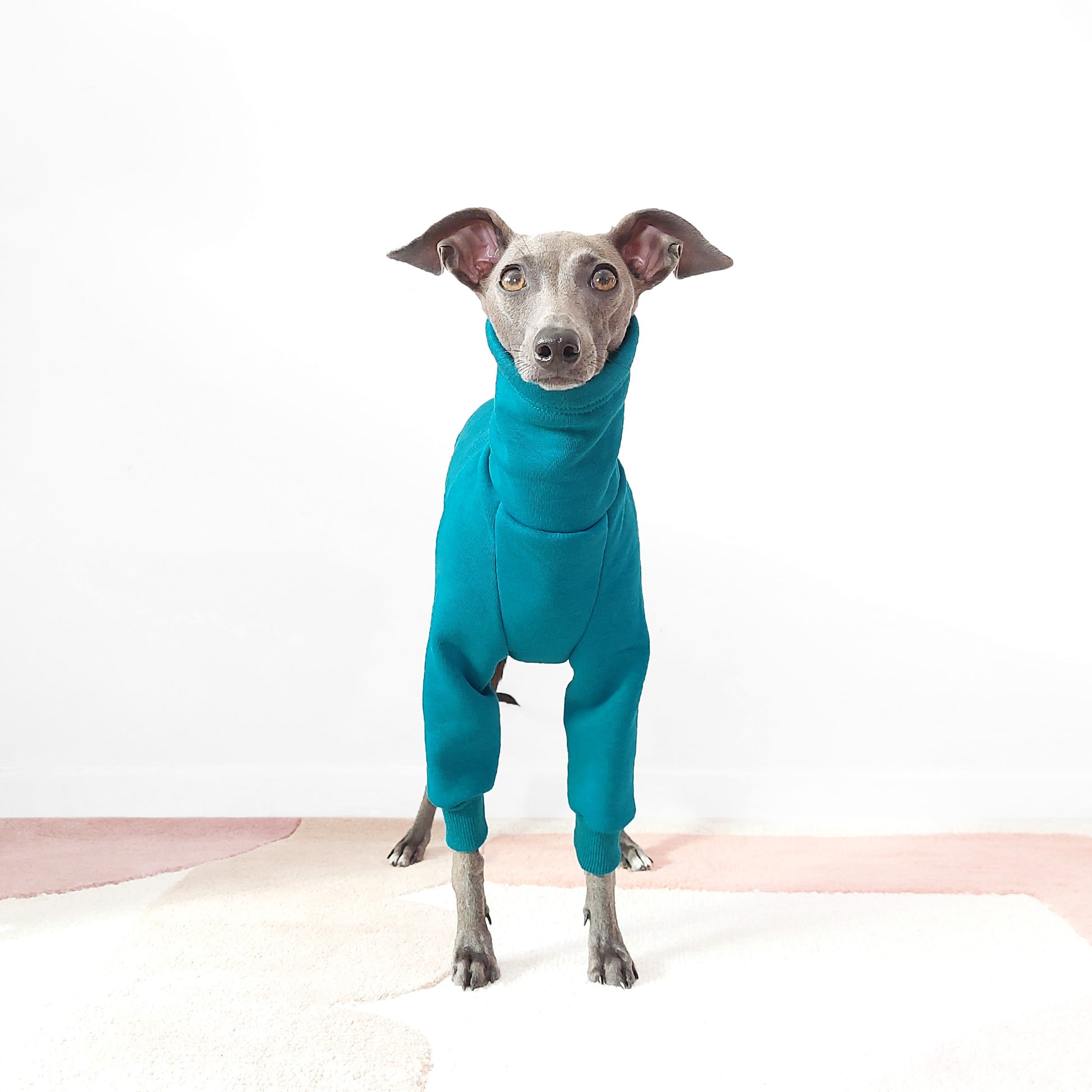 Italian Greyhound and whippet jumper for dogs made from eco-friendly Oeko-Tex fleece sweatshirt by LE PUP.