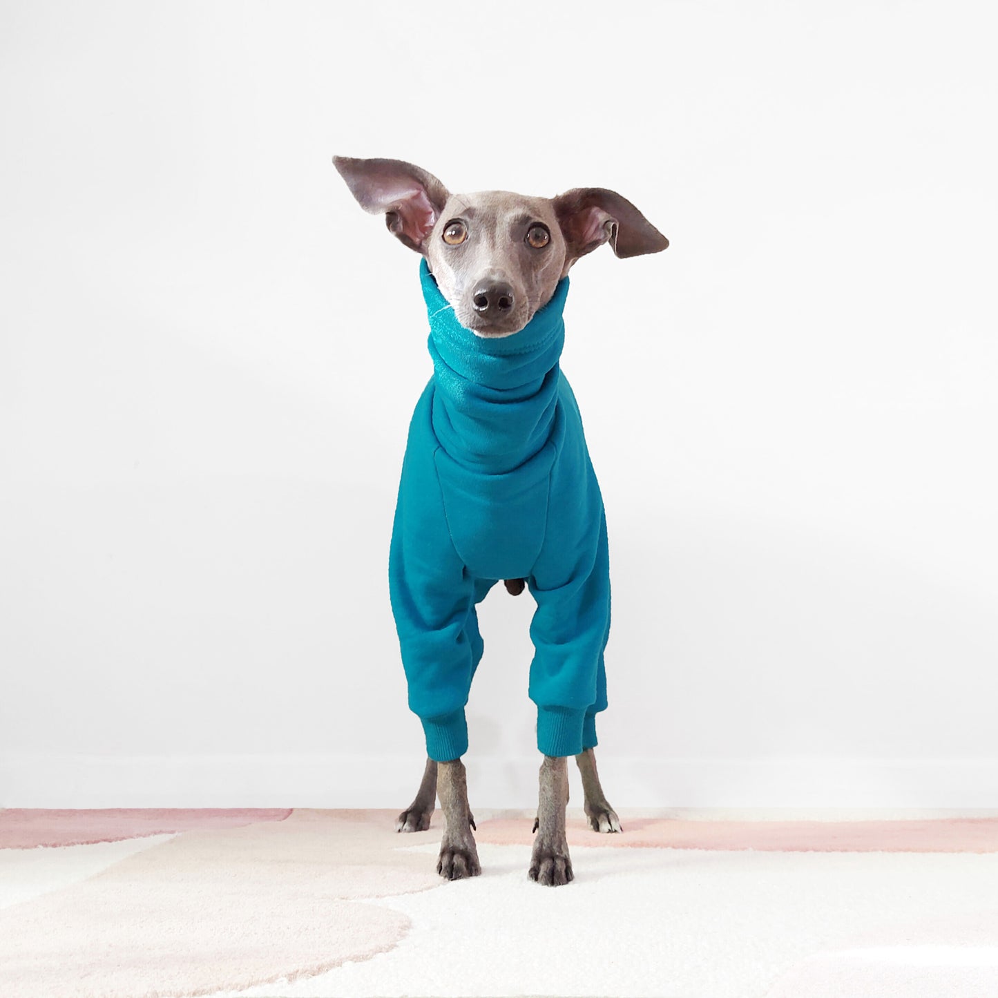Eco-Friendly Italian Greyhound And Whippet Oeko-Tex Teal Dog Onesie by LE PUP.
