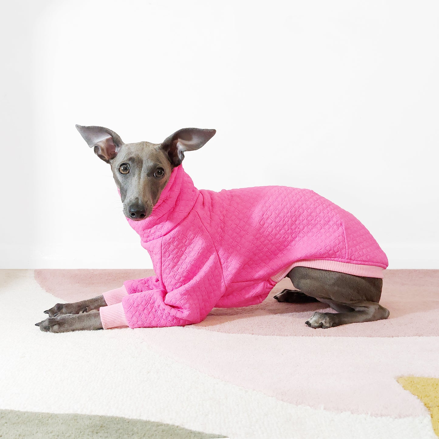 Side view of dog laying down and wearing warm quilted Jacquard dog coat in hot pink by LE PUP.