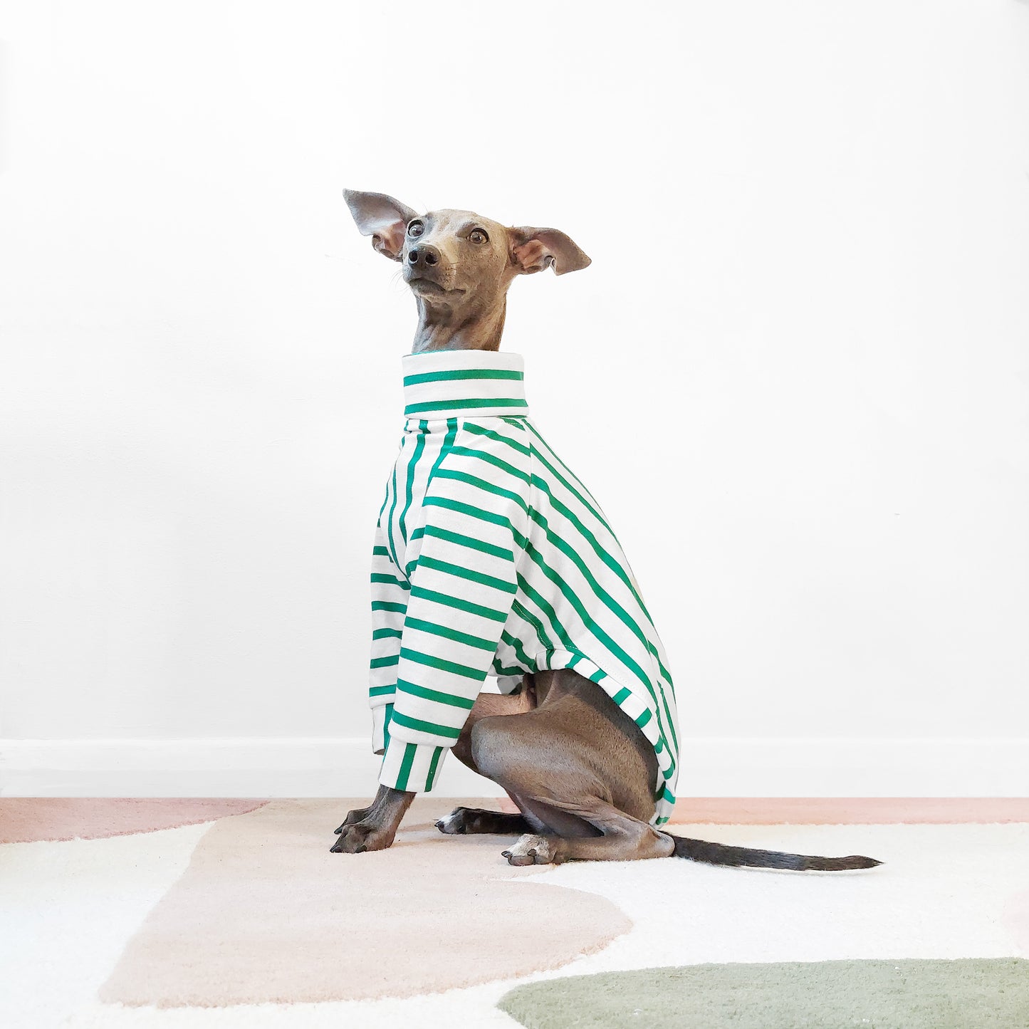 Custom fit turtleneck long sleeve green stripe organic cotton dog jumper by LE PUP.