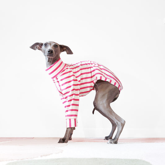Turtle neck pink stripe organic cotton   dog jumper made from GOTs materials by LE PUP.