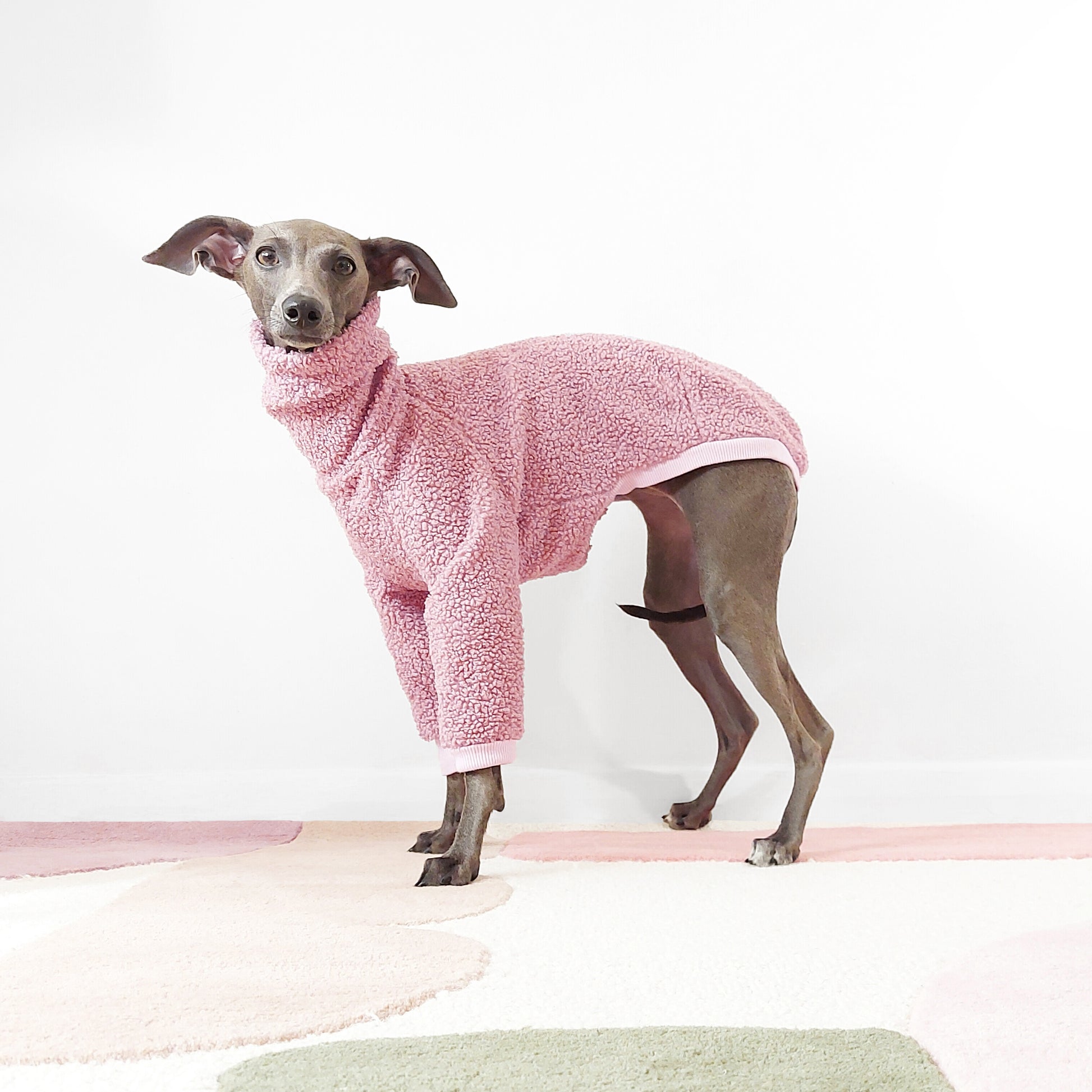 Side-view of Italian greyhound wearing fluffy dusty pink dog jumper by LE PUP.