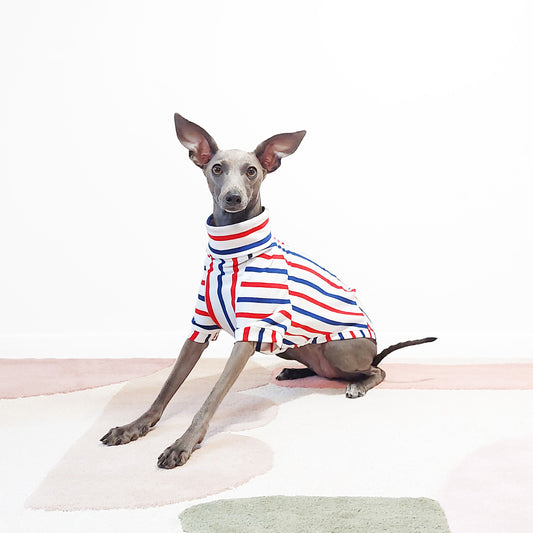 Made-to-measure in London, 100% organic breton cotton top for dogs made by LÈ PUP
