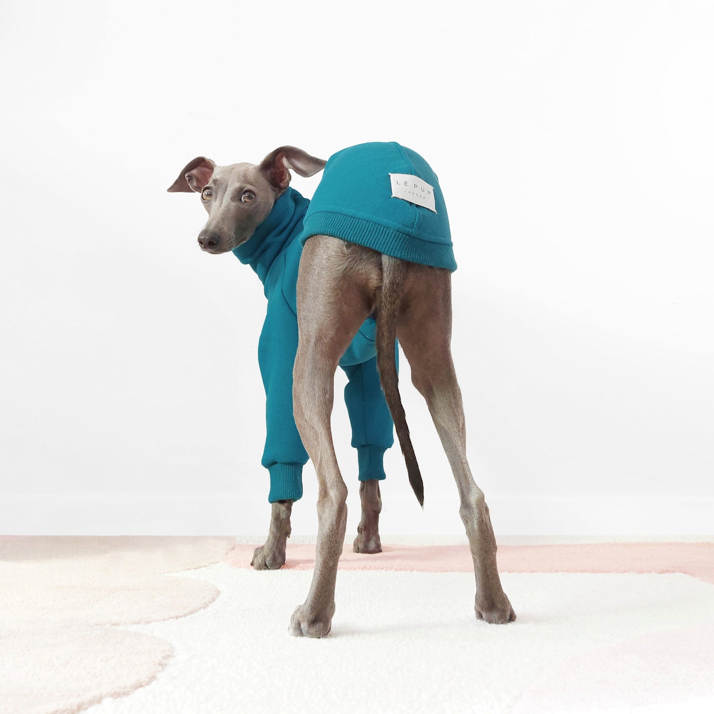 Back view of Italian Greyhound standing dog jumper made from sustainable Oeko-Tex fleece-lined sweatshirt material by LE PUP.